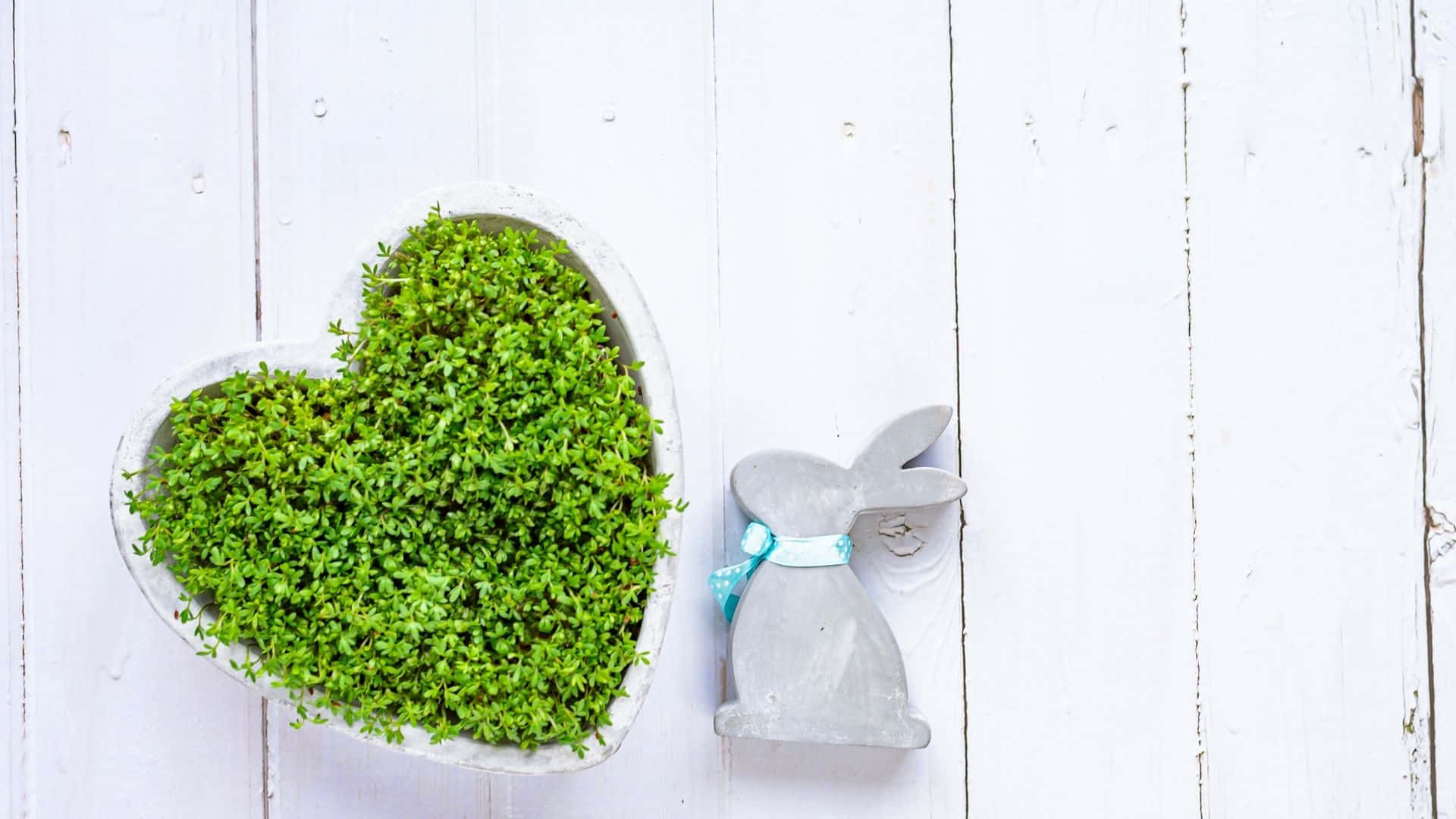 Easter Bunny, hay stack, heart-shaped planter, Full HD Desktop Wallpaper