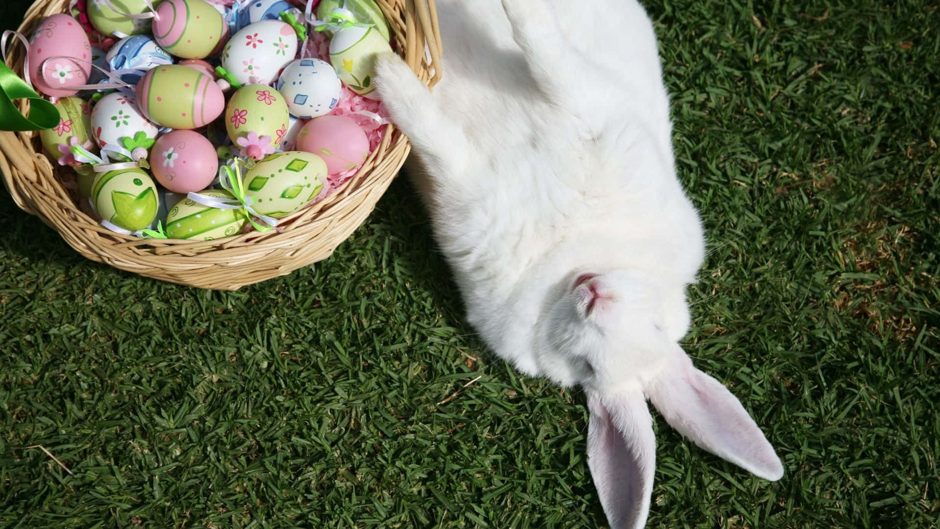 Easter Bunny, fluffy white rabbit, wicker basket, Full HD Desktop Wallpaper