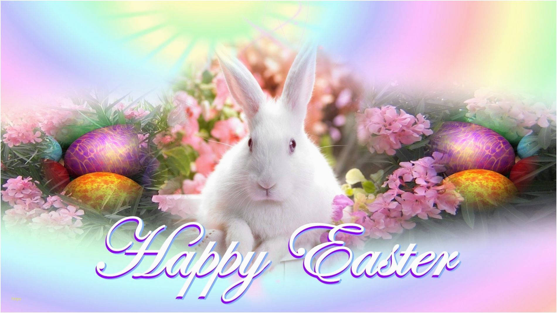 Easter Bunny, white Easter bunny, colorful eggs, HD Desktop Wallpaper
