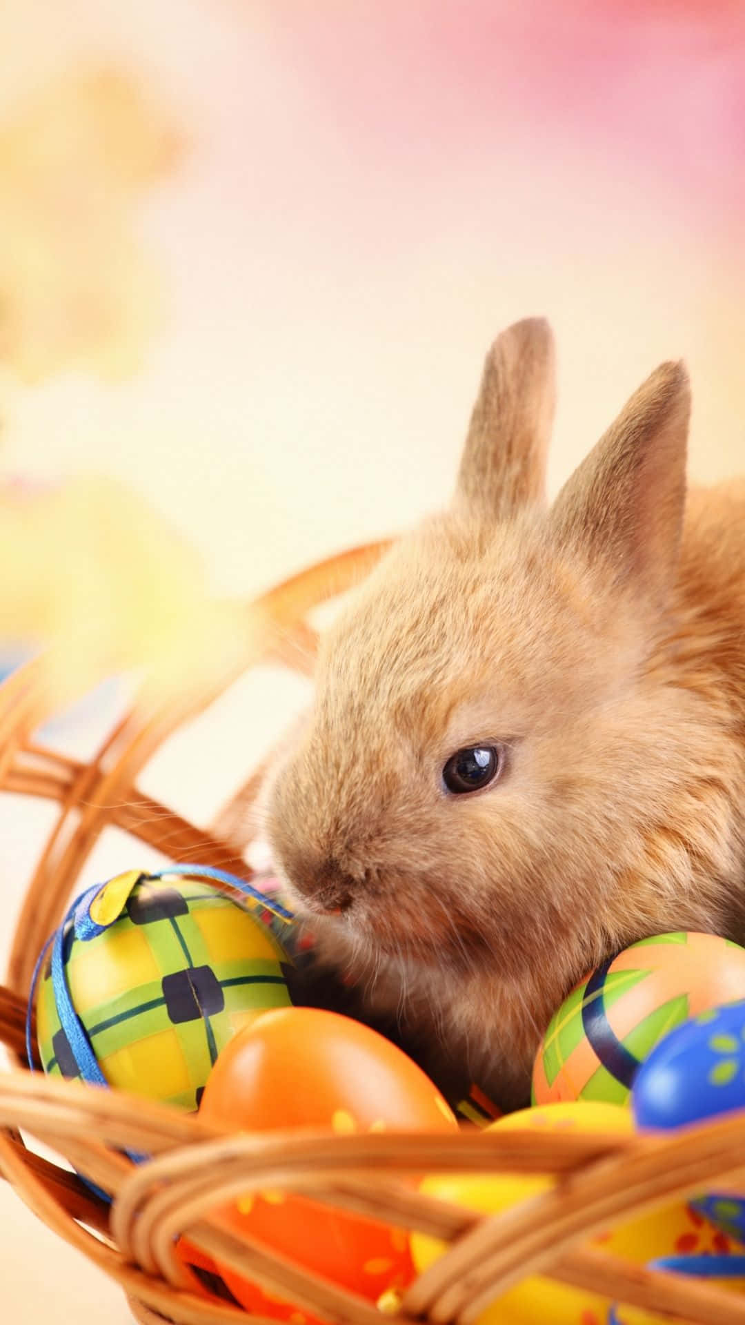 Easter Bunny, fluffy brown bunny, wicker basket, Full HD Phone Wallpaper