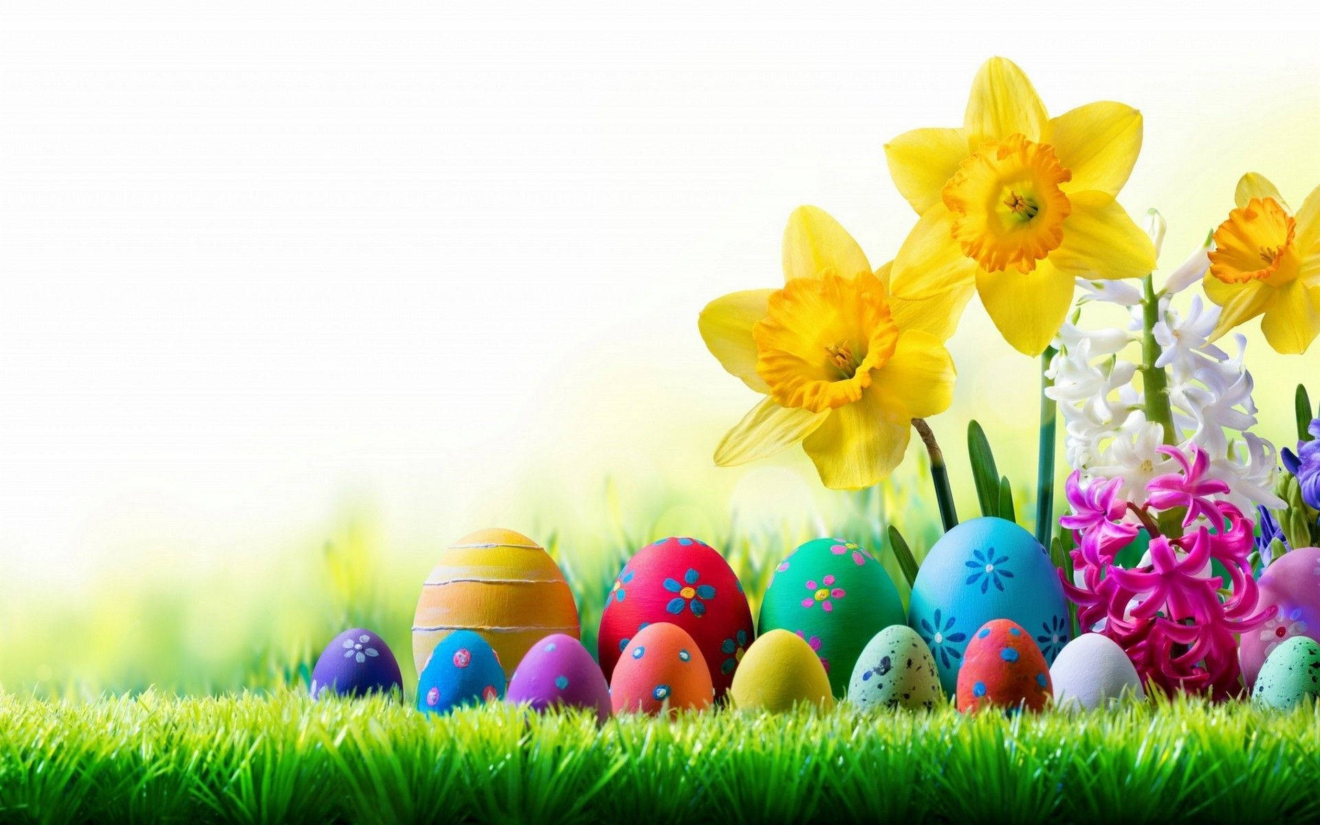 Easter Desktop, painted eggs, daffodils, Full HD Desktop Wallpaper