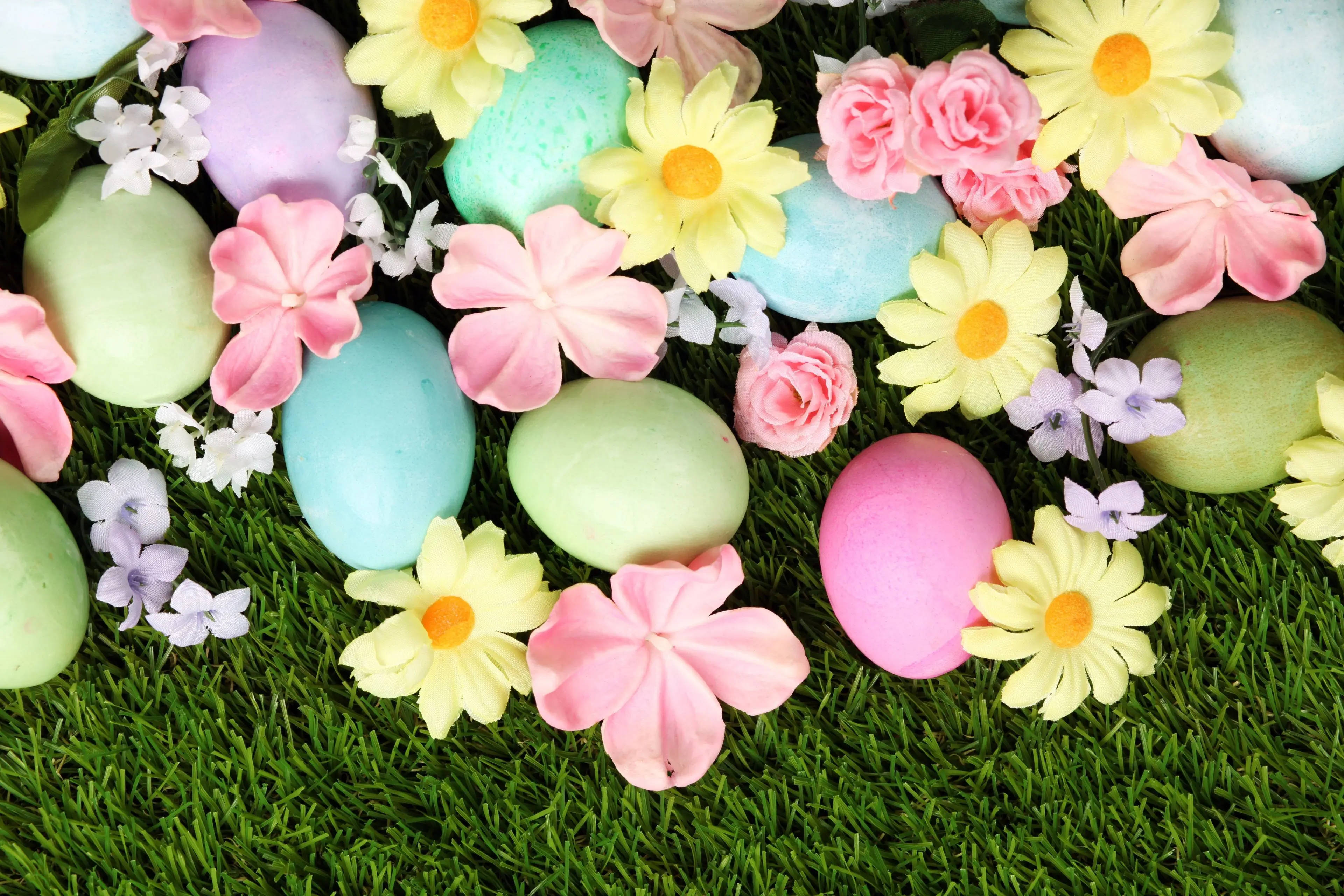 Easter Desktop, pastel Easter eggs, colorful flowers, 4K Desktop Wallpaper