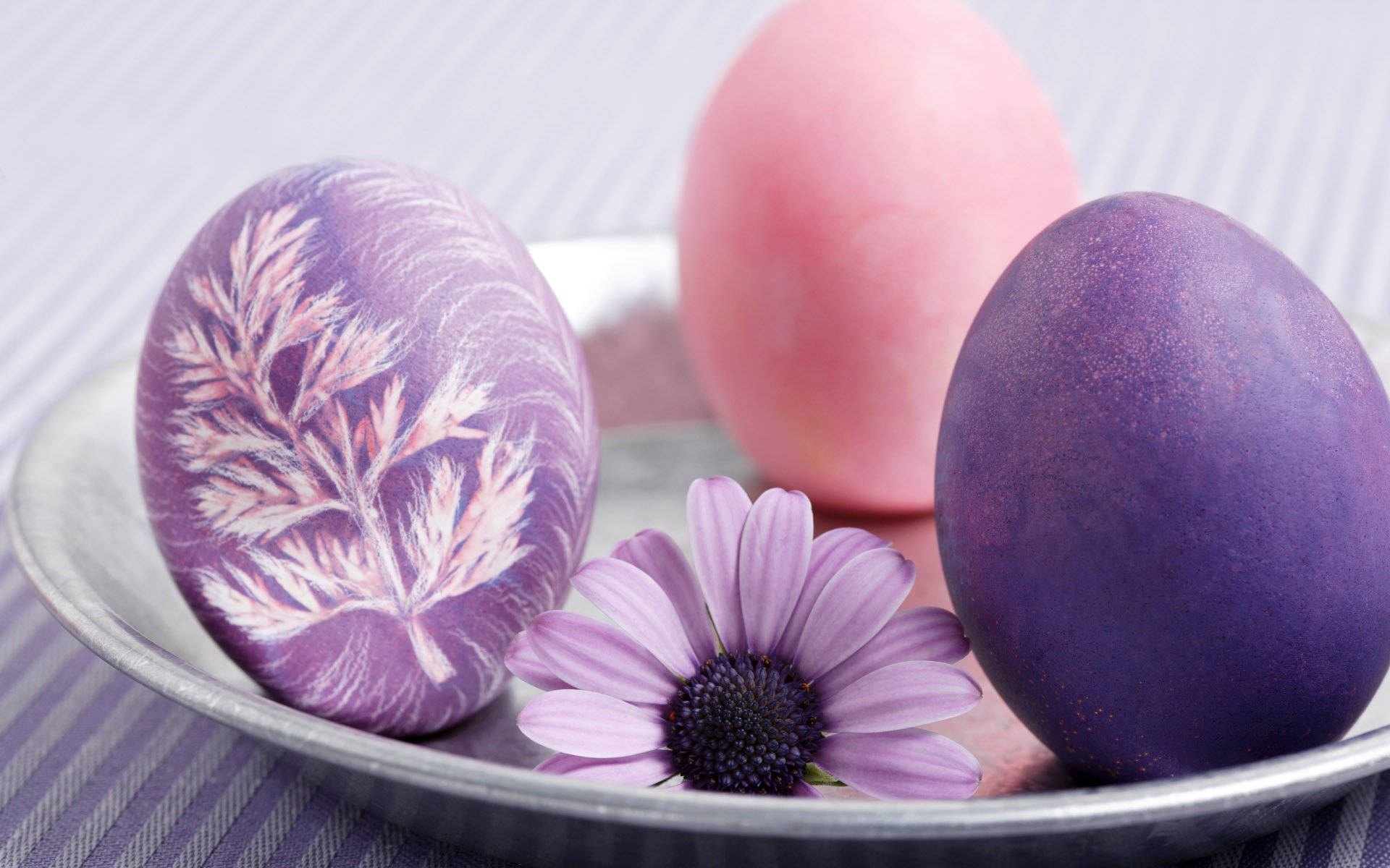 Easter Desktop, purple eggs, purple daisy, Full HD Desktop Wallpaper
