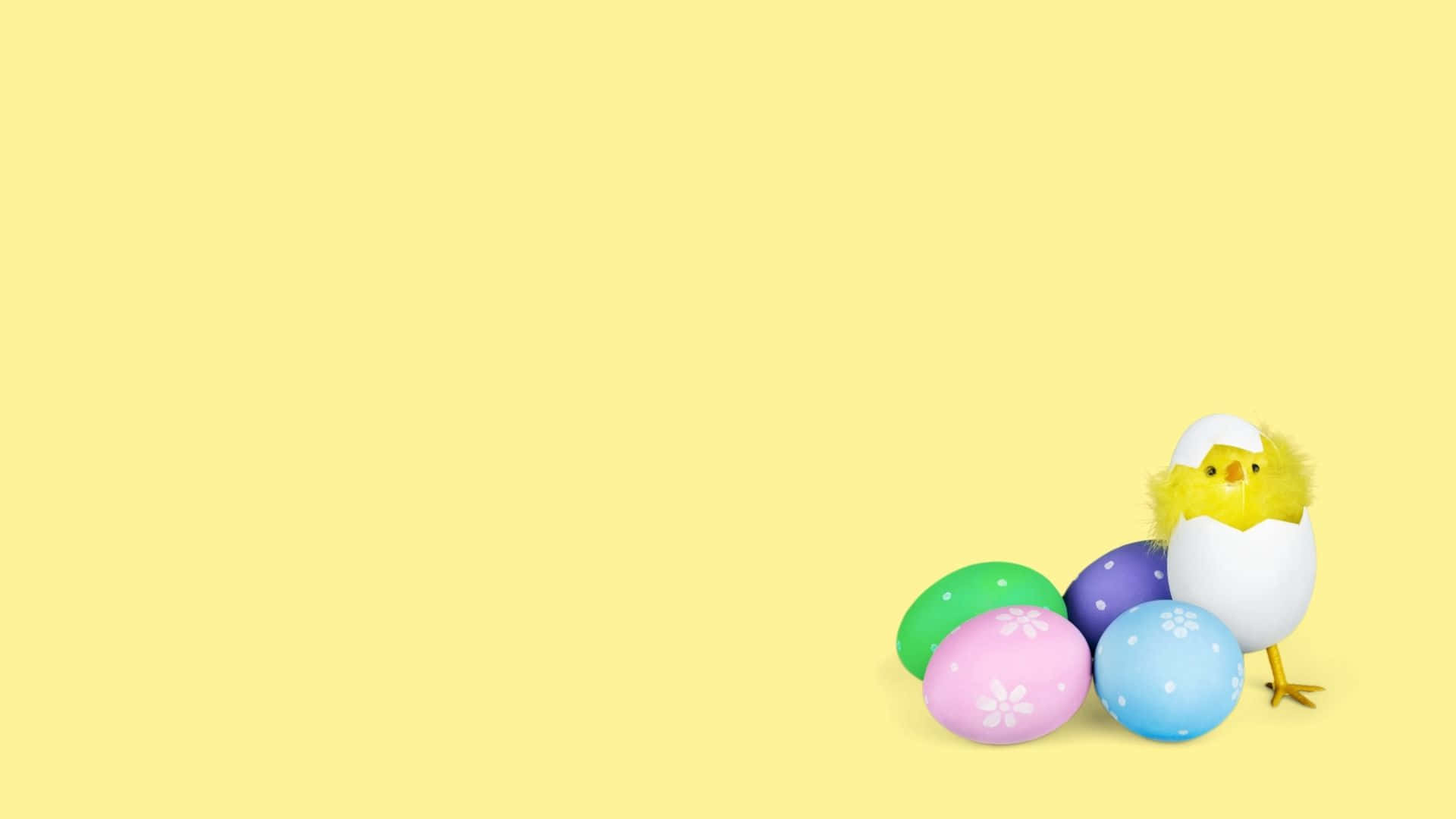 Easter egg, yellow chick, cracked egg, Full HD Desktop Wallpaper