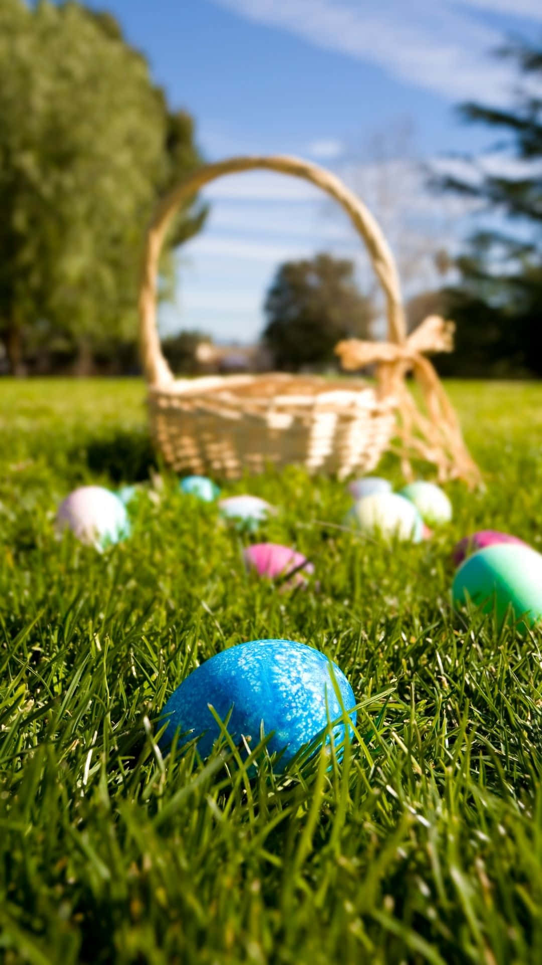 Easter egg, lush green grass, woven basket, Full HD Phone Wallpaper