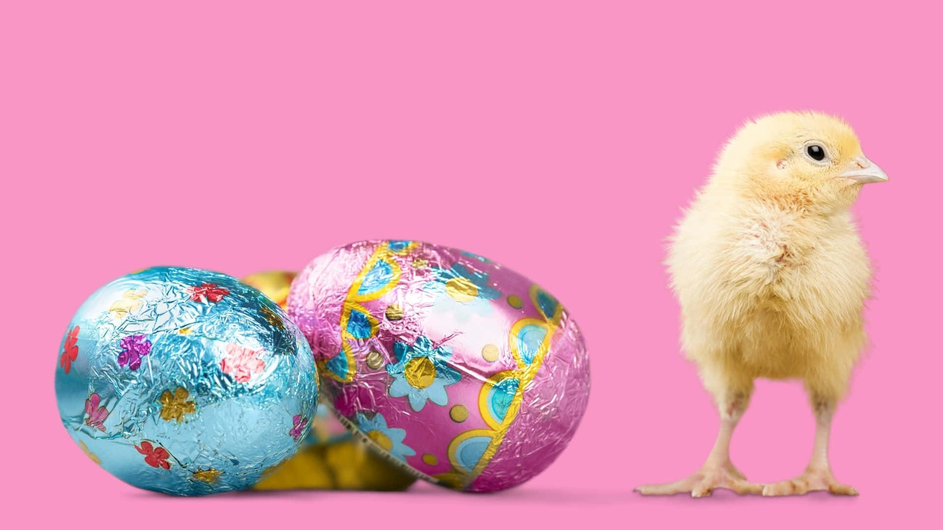 Easter Egg, fluffy yellow chick, colorful foil-wrapped chocolate Easter eggs, Full HD Desktop Wallpaper