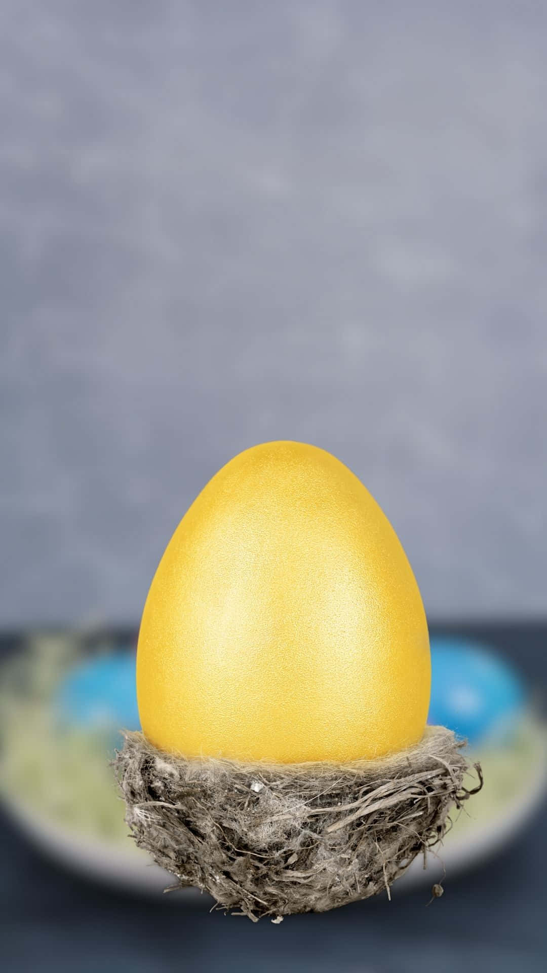 golden egg, rustic bird's nest, soft gray background, Full HD Phone Wallpaper