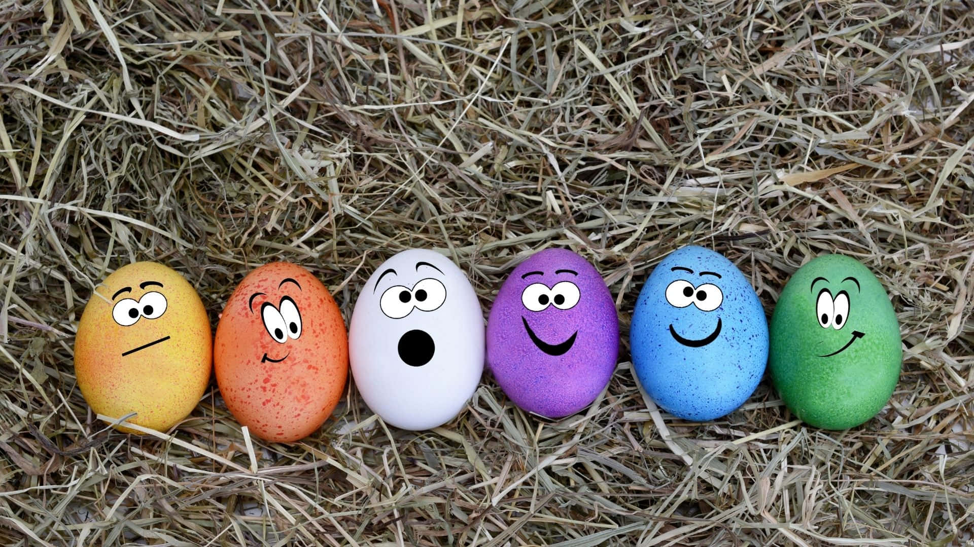 Easter Egg, branch, dry straw, Full HD Desktop Wallpaper