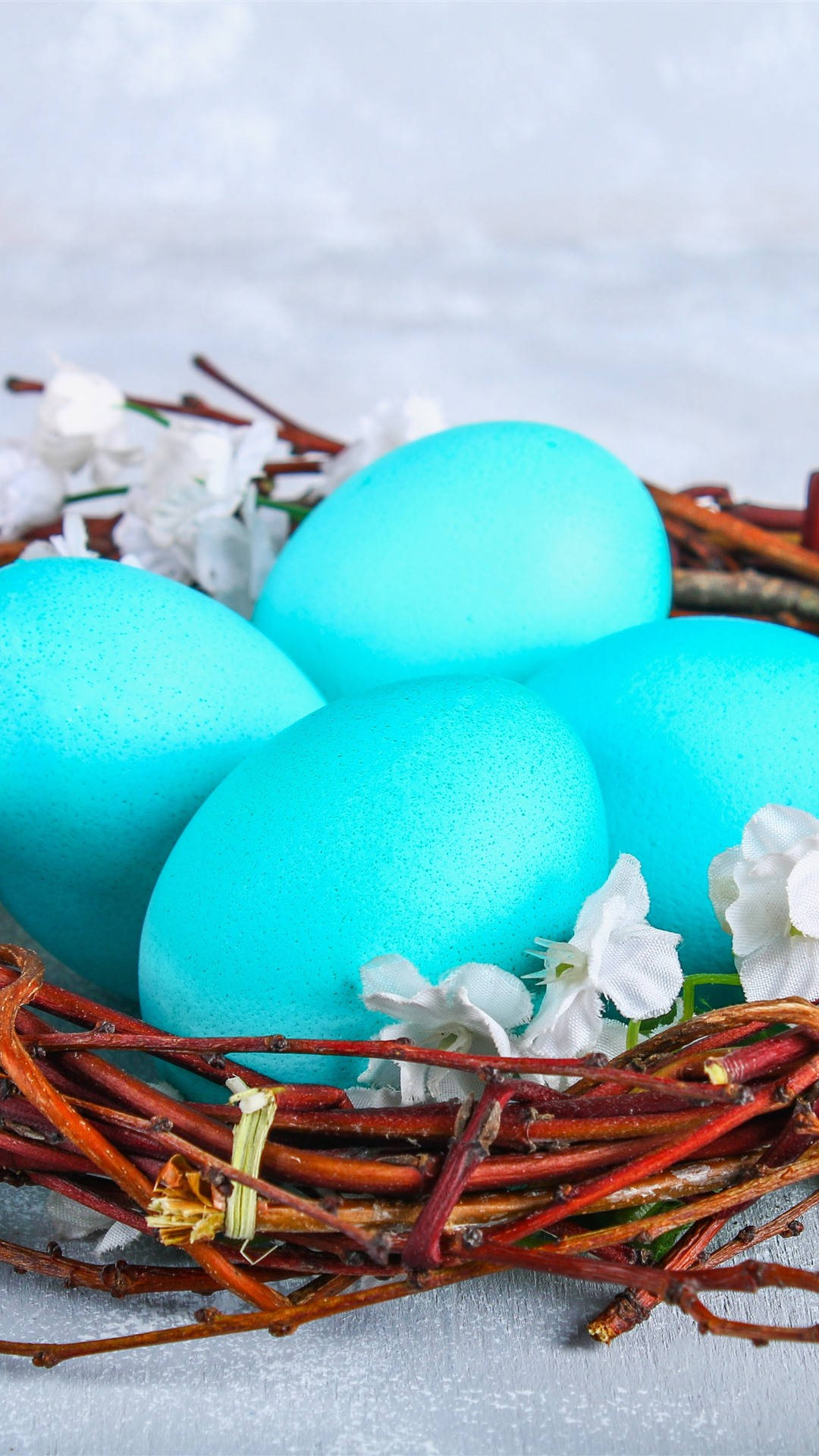 Easter iPhone, turquoise, twig nest, Full HD Phone Wallpaper