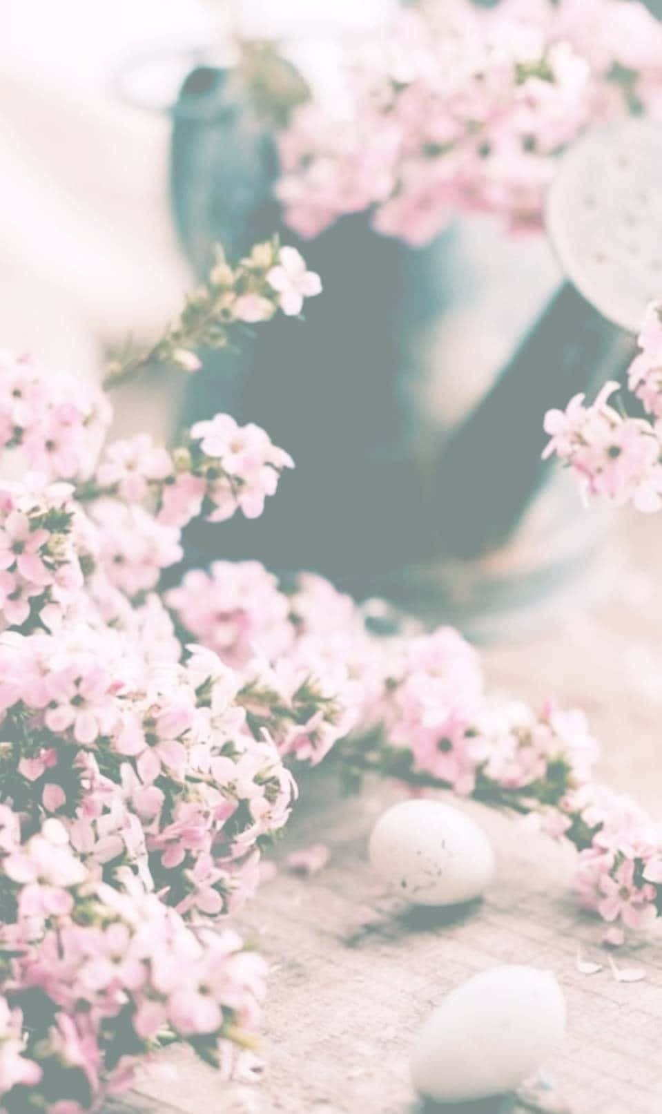 Easter iPhone, pink blossoms, speckled eggs, HD Phone Wallpaper