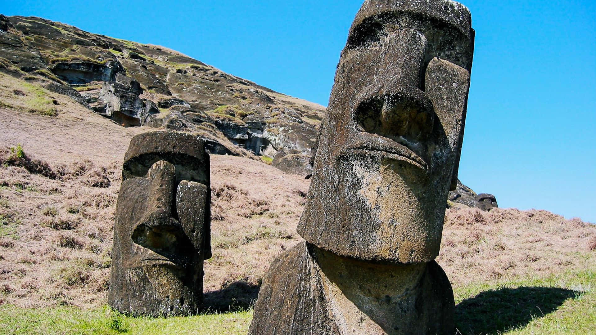 Easter Island, moai statues, grassy hillside, Full HD Desktop Wallpaper