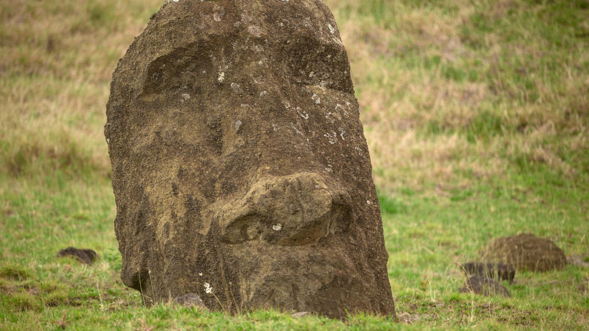 Easter Island, moai head, grassy field, Full HD Desktop Wallpaper