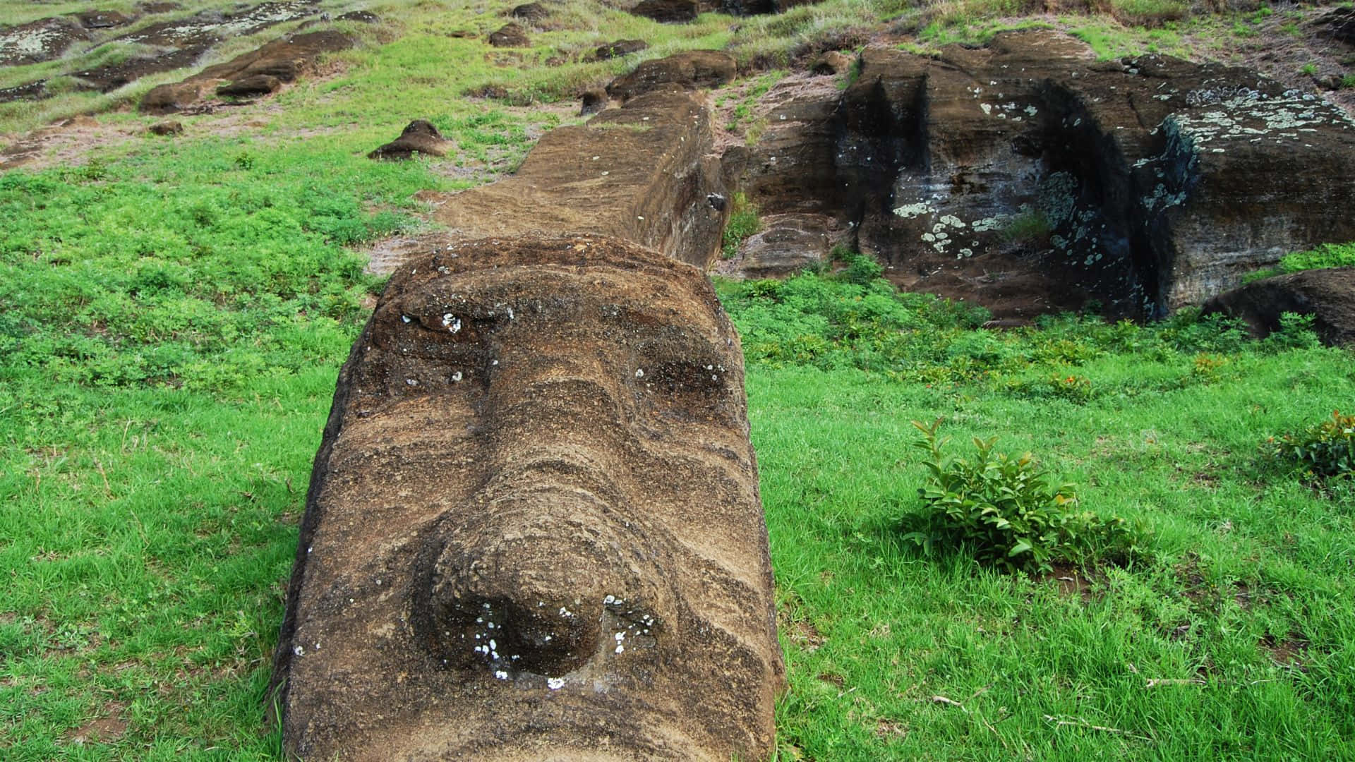 Easter Island, moai head, vibrant green grass, Full HD Desktop Wallpaper