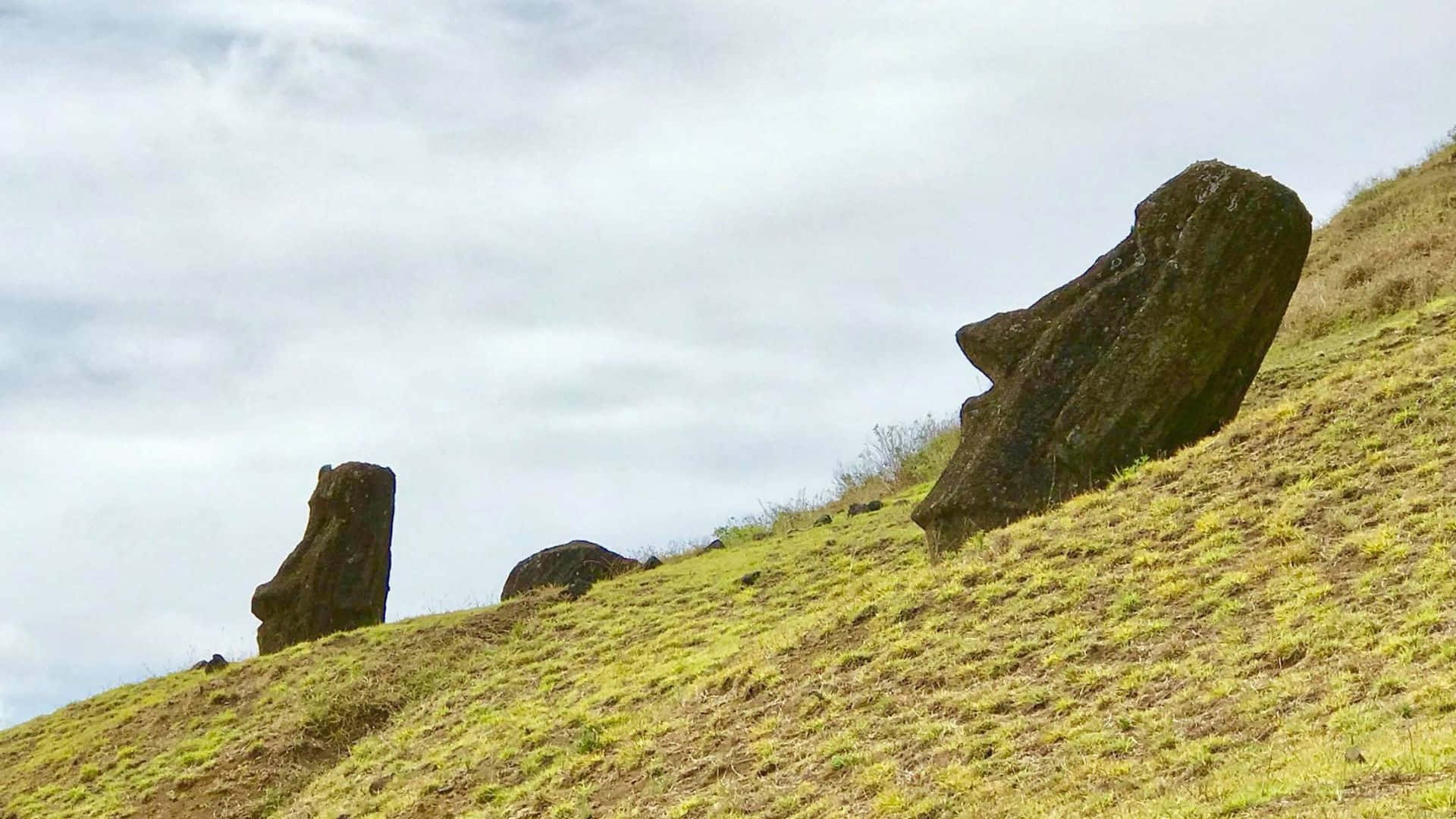 Easter Island, moai statues, grassy hillside, Full HD Desktop Wallpaper
