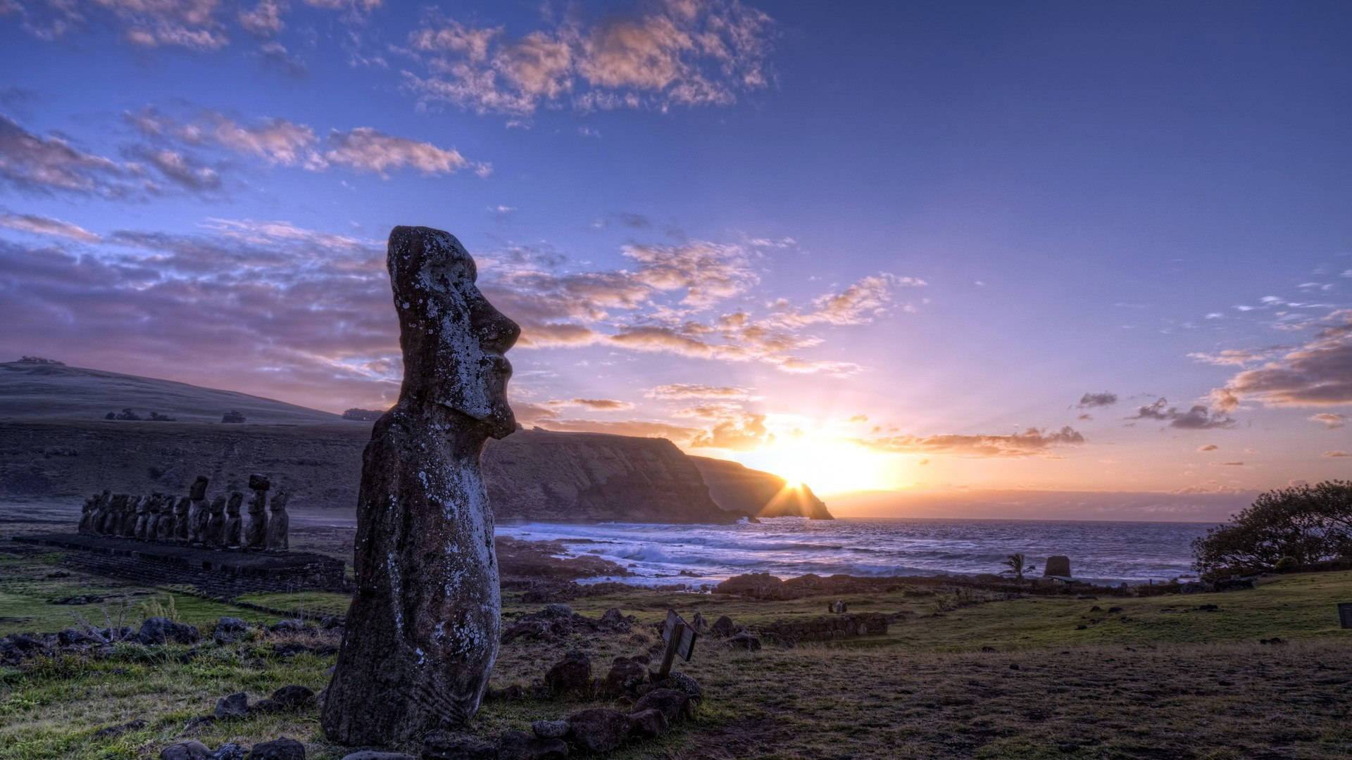 Easter Island, moai statue, grassy coast, Full HD Desktop Wallpaper