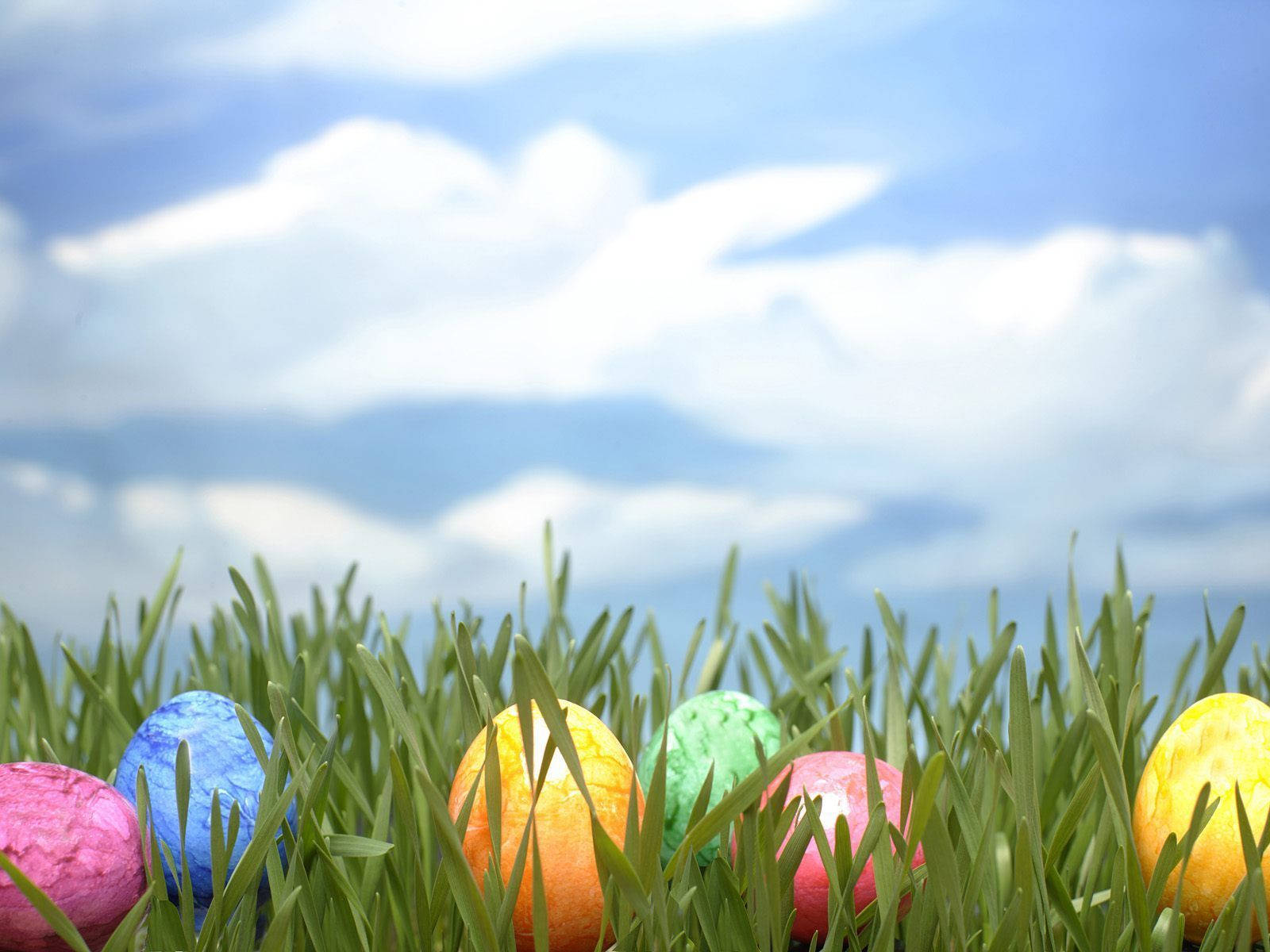 Easter egg hunt, vibrant colored Easter eggs, lush green grass, HD Desktop Wallpaper