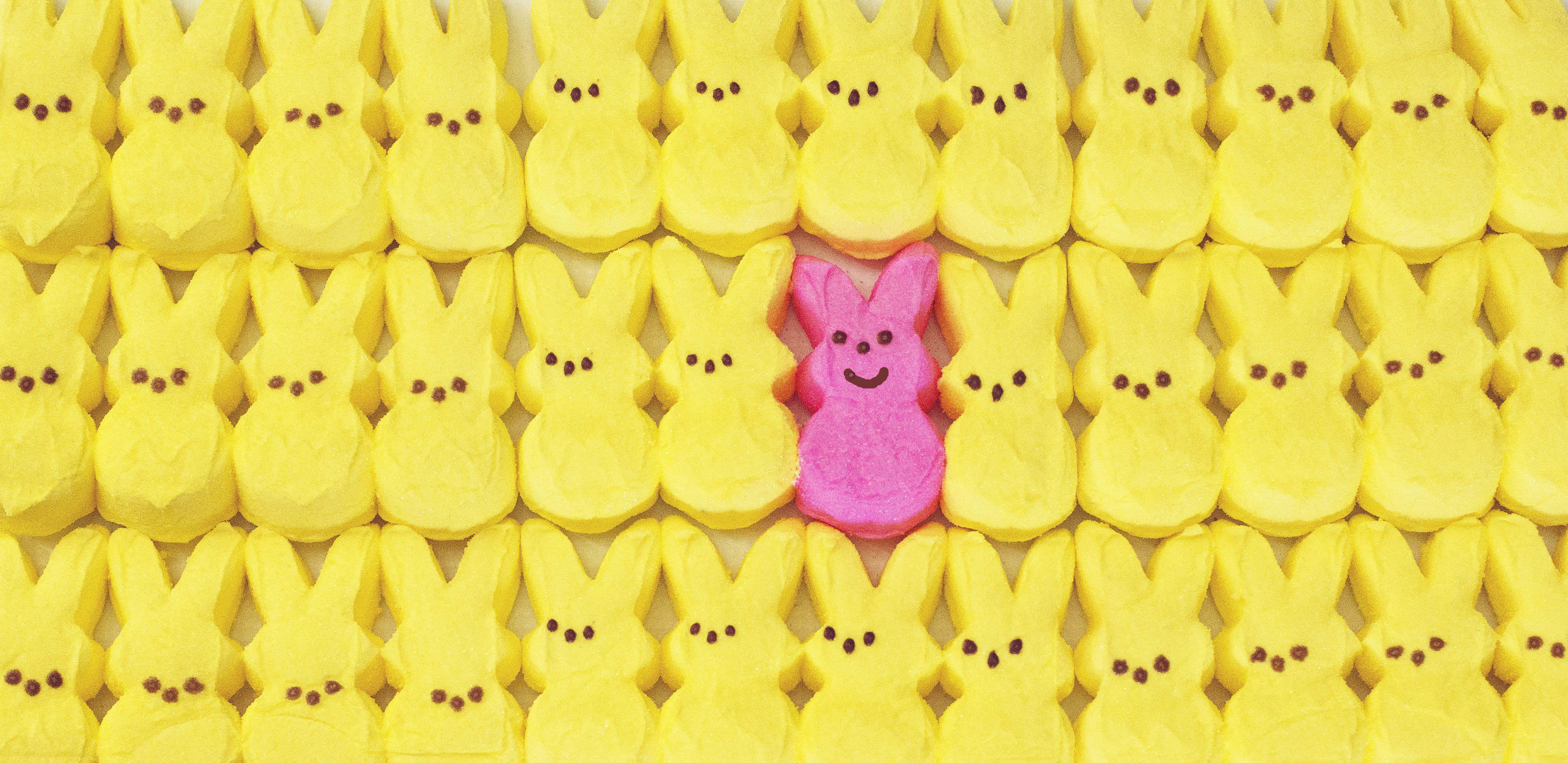 Easter Peeps, pink Peep bunny, yellow Peep bunnies, 5K Desktop Wallpaper