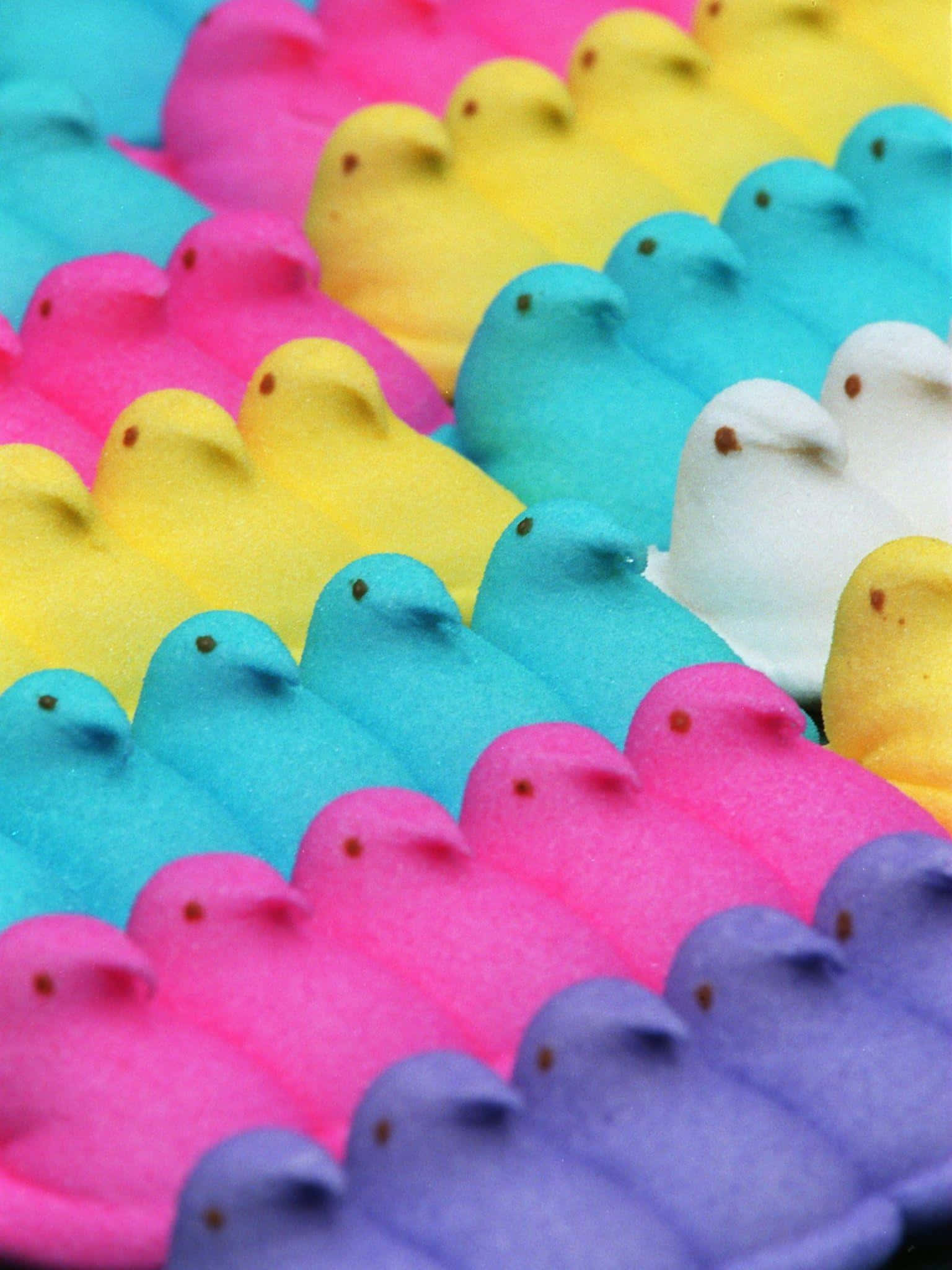 Colorful Easter Peeps Array, pink, yellow, Full HD Phone Wallpaper