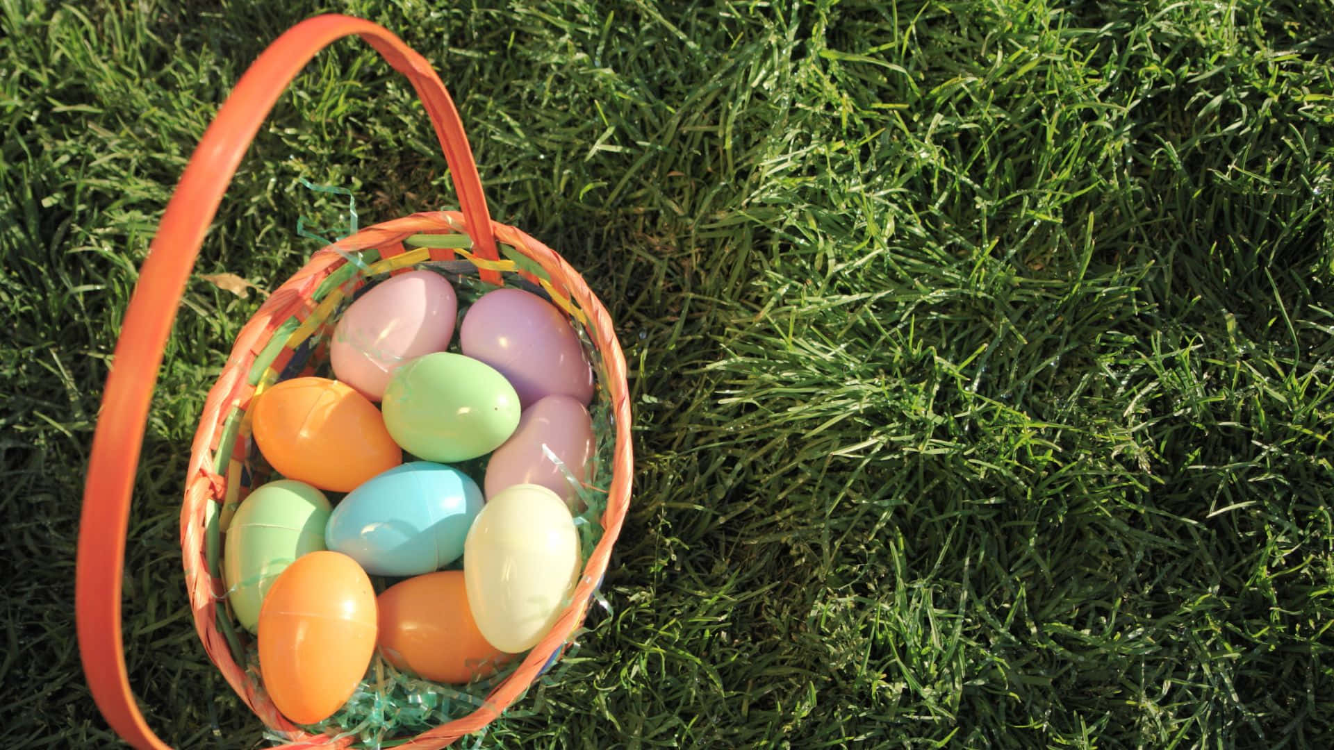 Easter basket, bright orange basket, colorful plastic Easter eggs, Full HD Desktop Wallpaper