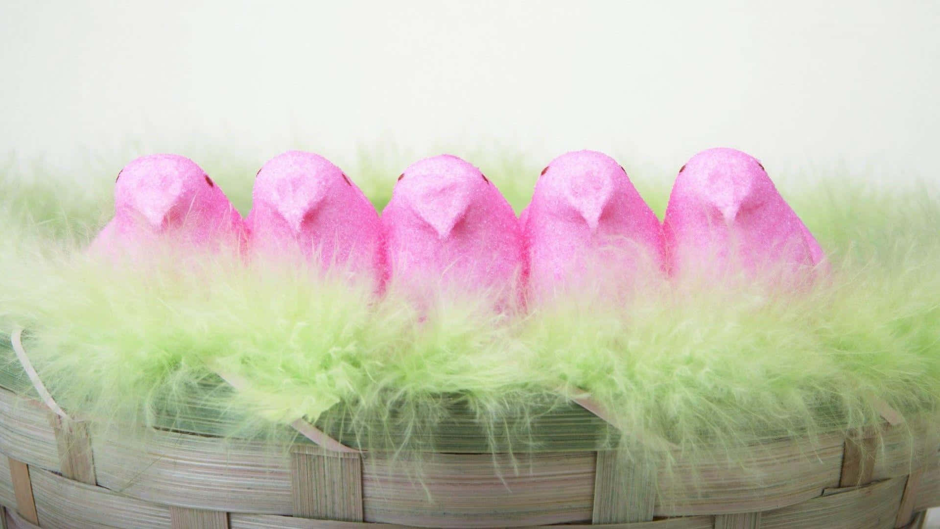 Easter Peeps, pink chicks, woven basket, Full HD Desktop Wallpaper