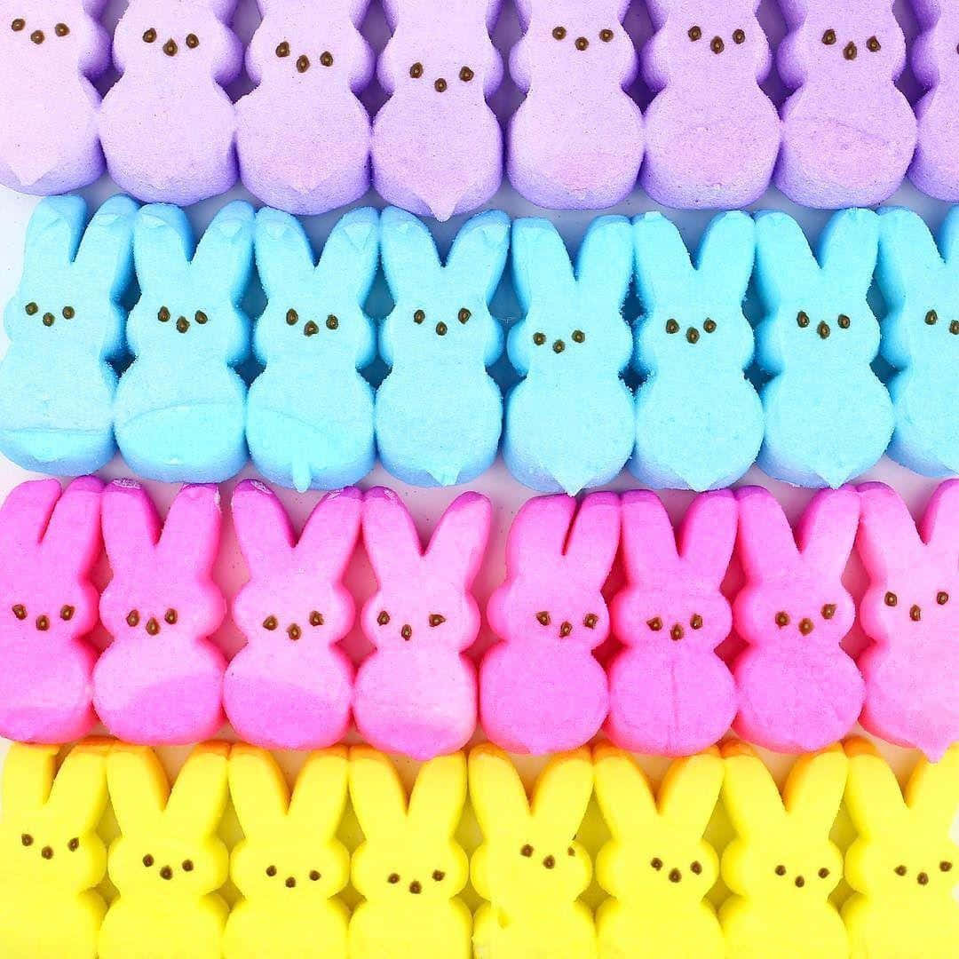 colorful Easter Peeps bunnies, purple, blue, SD Desktop Wallpaper