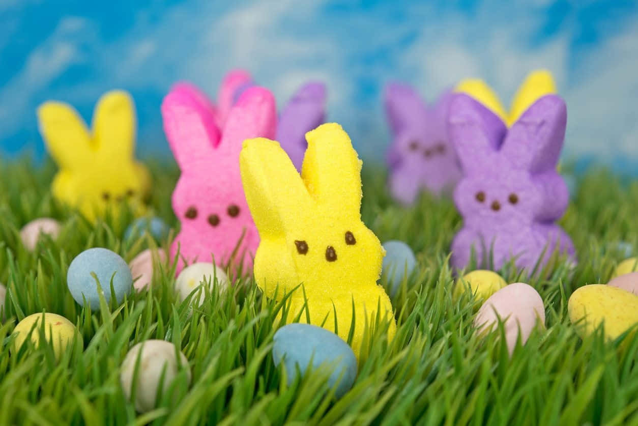 Colorful Easter Peepsin Grass, Peep bunnies, pastel Easter eggs, SD Desktop Wallpaper