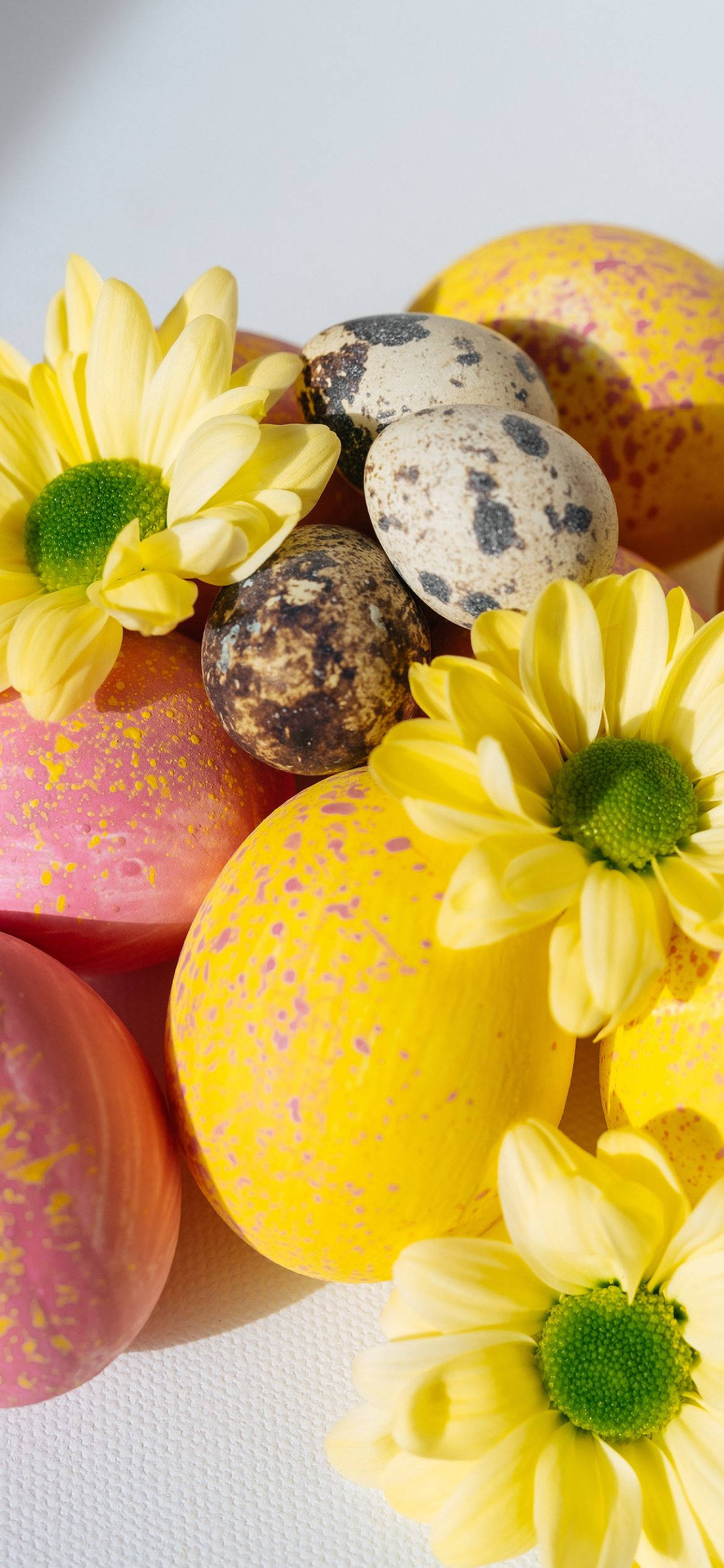 Easter Phone, 1170 x 2532, speckled eggs, Full HD Phone Wallpaper