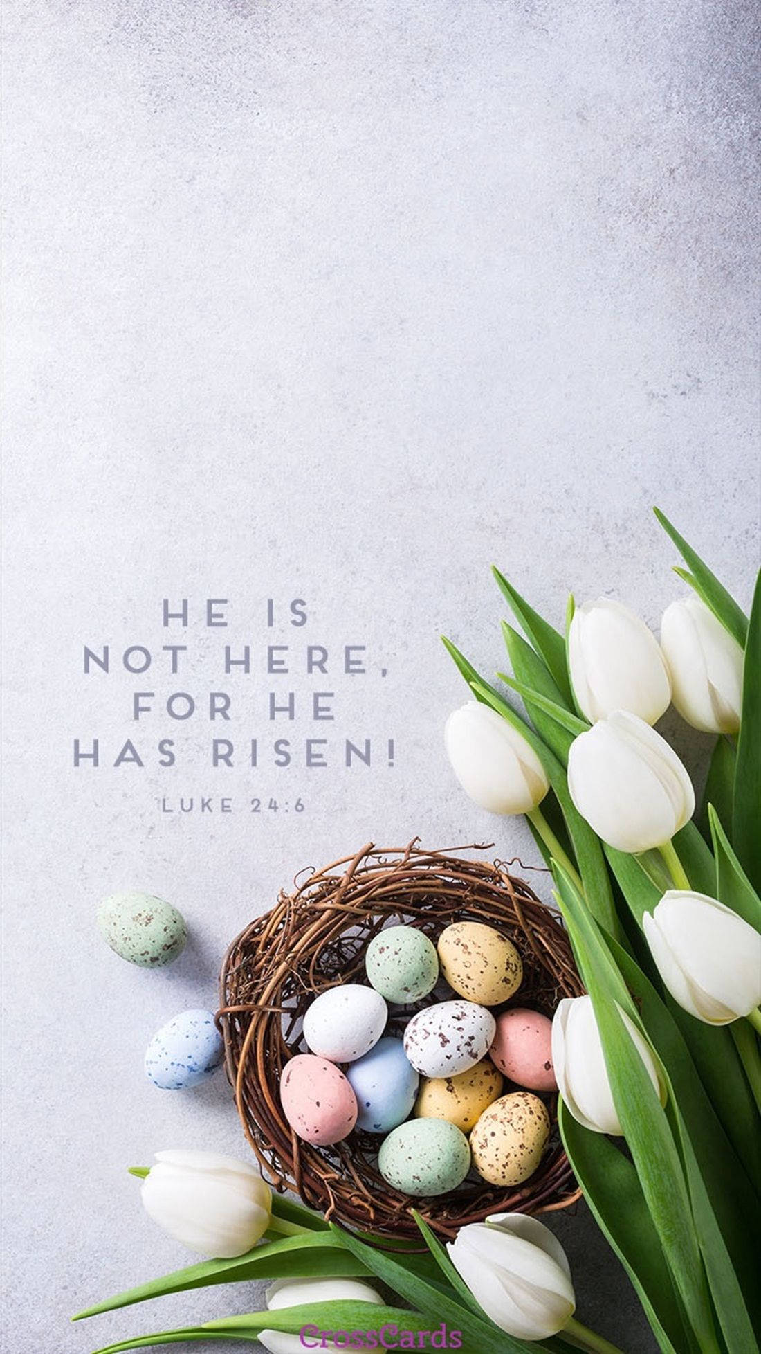 Easter Phone, white tulips, speckled Easter eggs, Full HD Phone Wallpaper