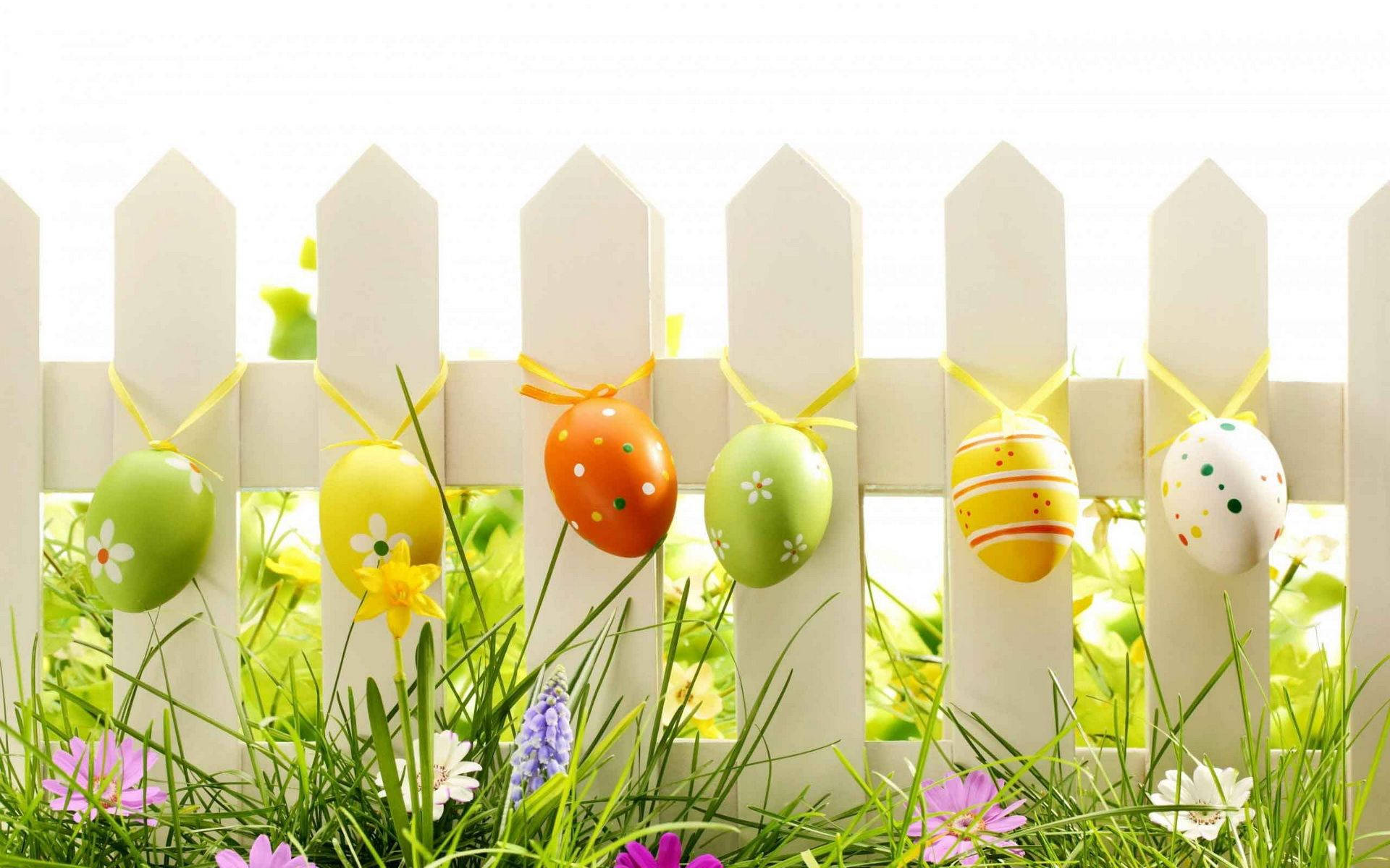 Easter, white picket fence, colorful decorated Easter eggs, Full HD Desktop Wallpaper