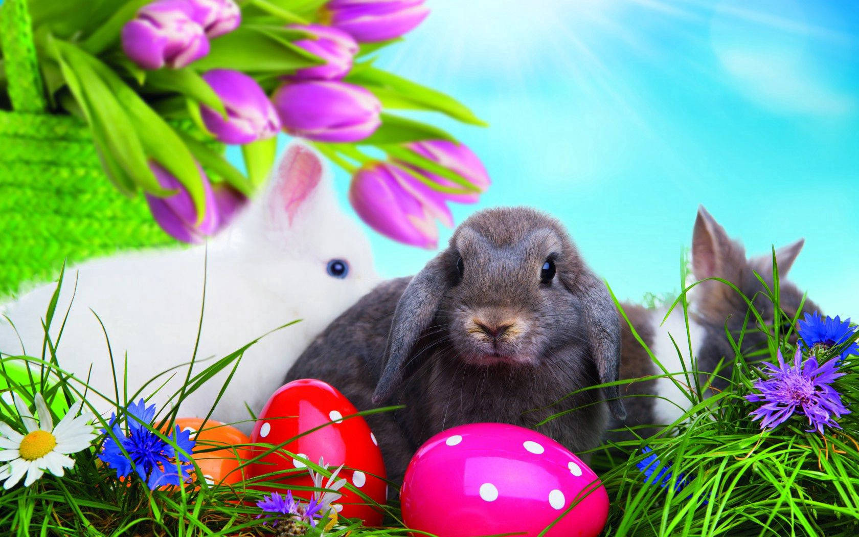 Easter eggs, cute bunnies, vibrant green grass, HD Desktop Wallpaper