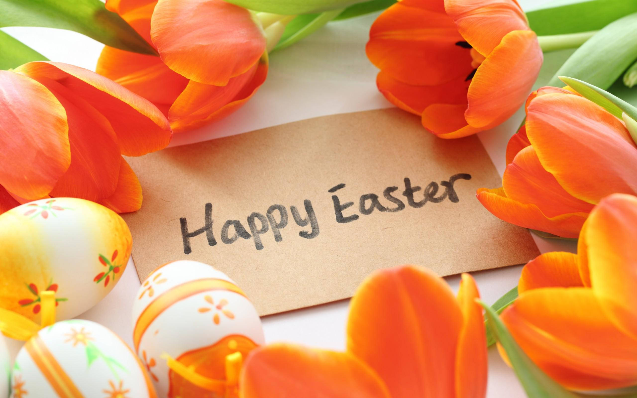 Happy Easter, orange tulips, handwritten, 2K Desktop Wallpaper