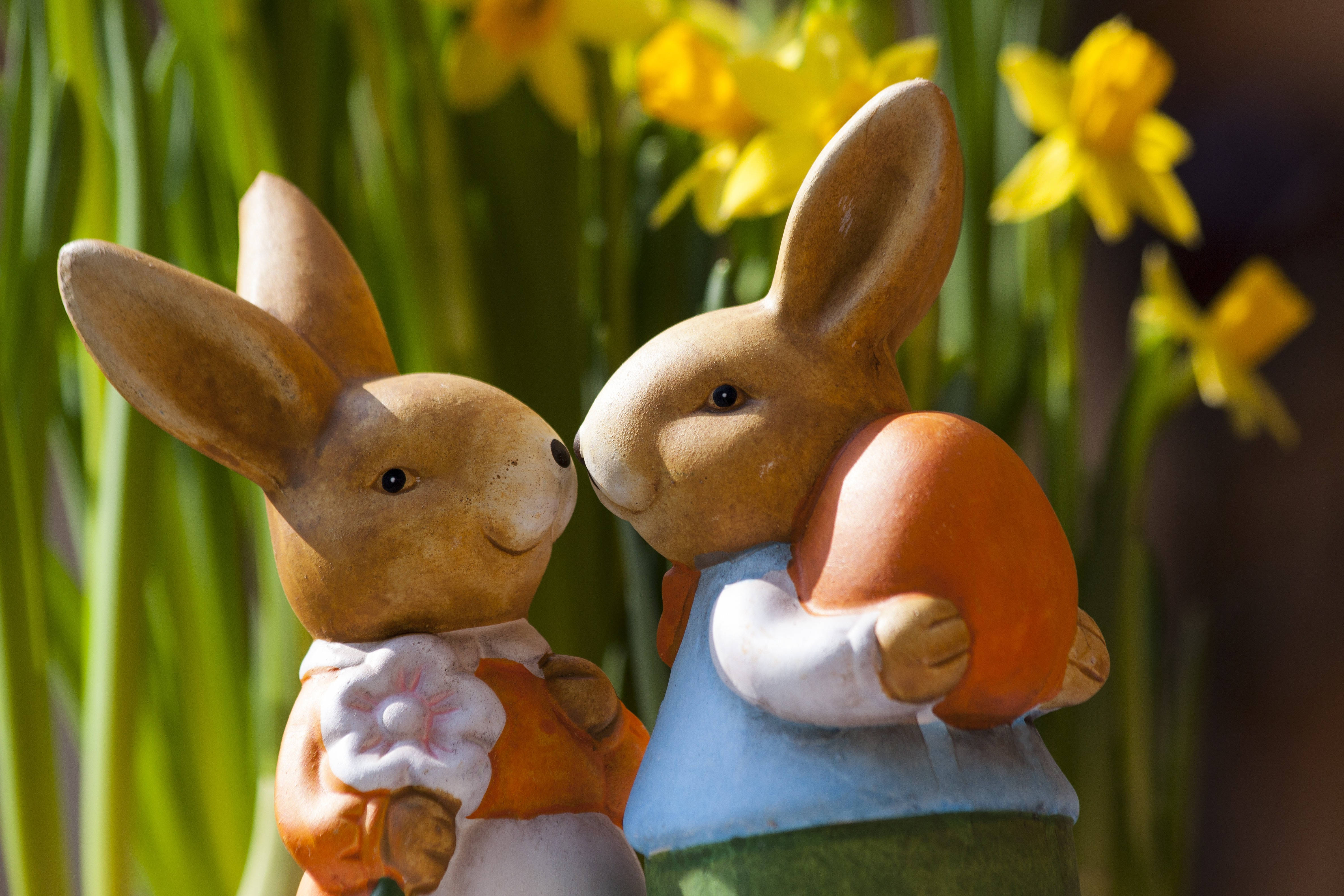 Easter bunnies, yellow daffodils, pastel clothes, 4K Desktop Wallpaper
