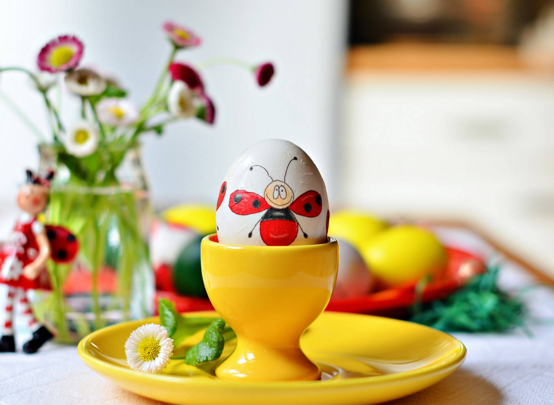 ladybug egg, bright yellow cup, matching plate, Full HD Desktop Wallpaper