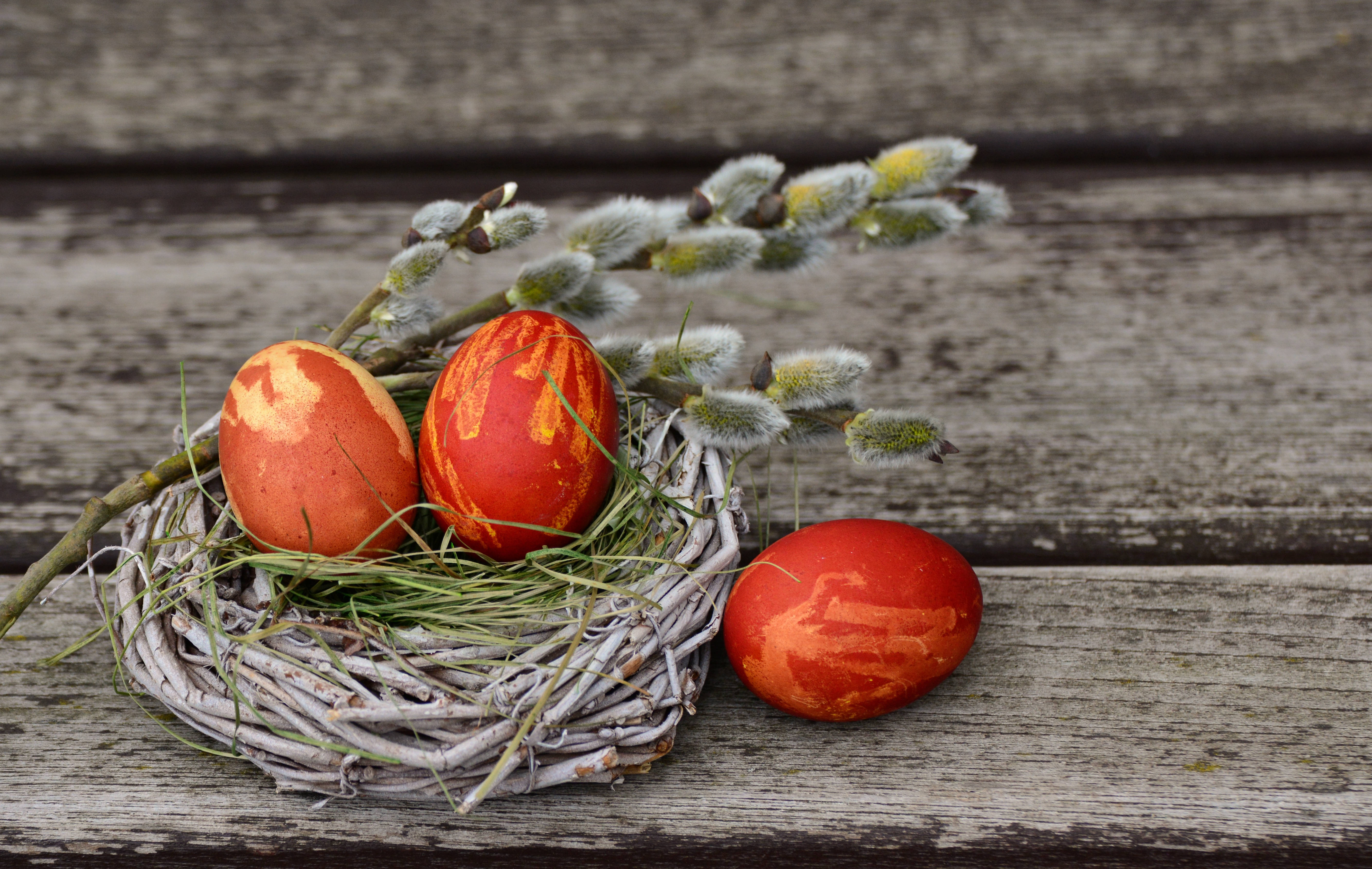 red easter eggs, twig nest, willow catkins, 5K Desktop Wallpaper
