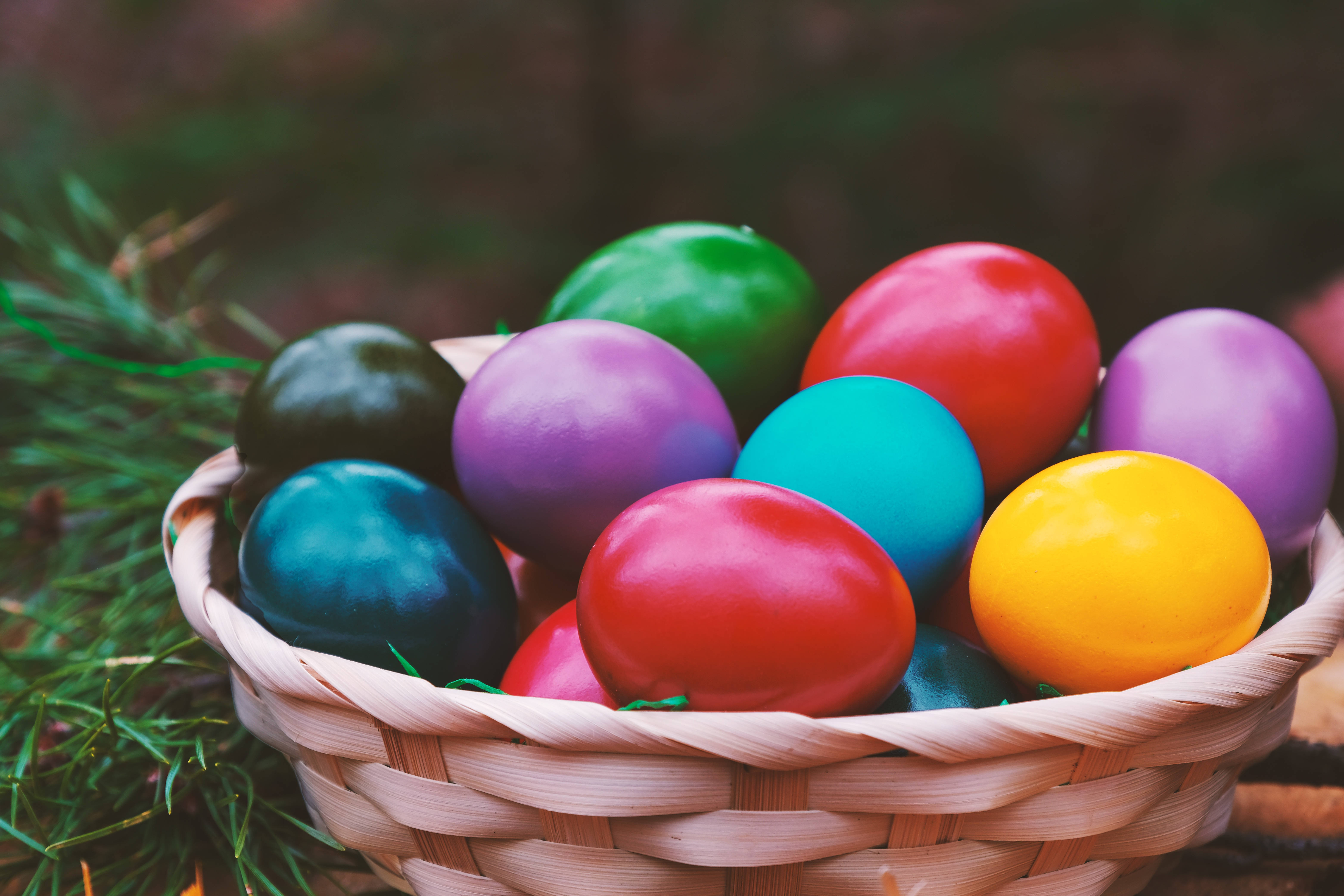 colorful Easter eggs, basket, pine needles, 5K Desktop Wallpaper