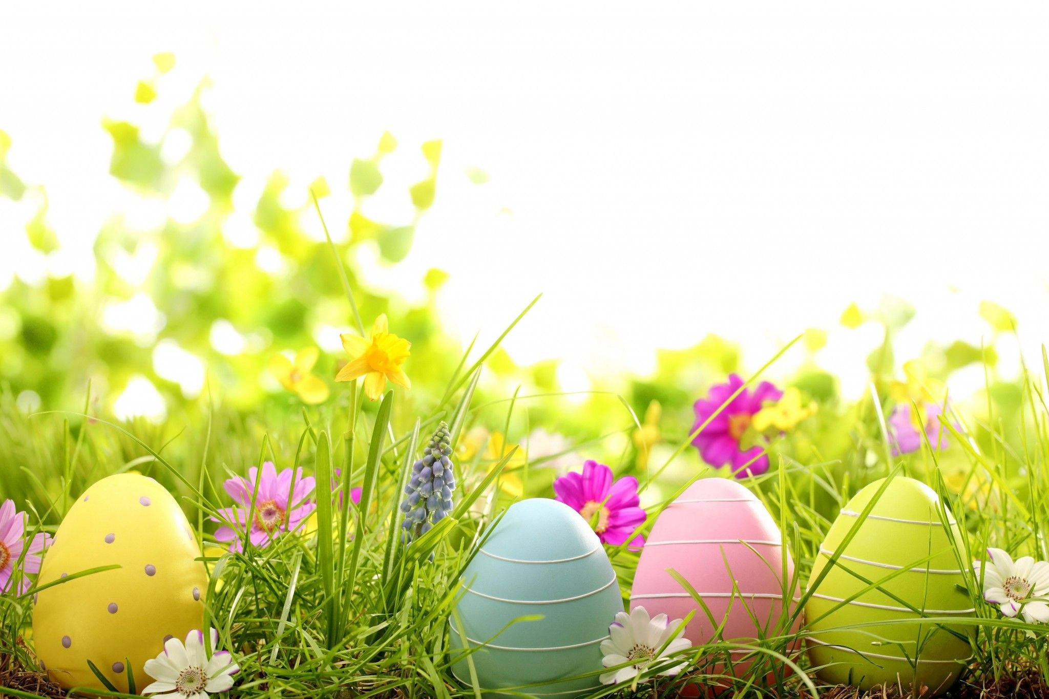 Easter, assorted eggs, green grass, Full HD Desktop Wallpaper