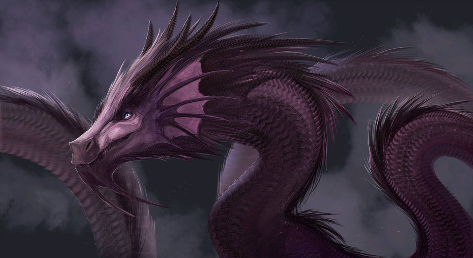 Purple Eastern Dragon, intricate scales, feathered wings, Full HD Desktop Wallpaper