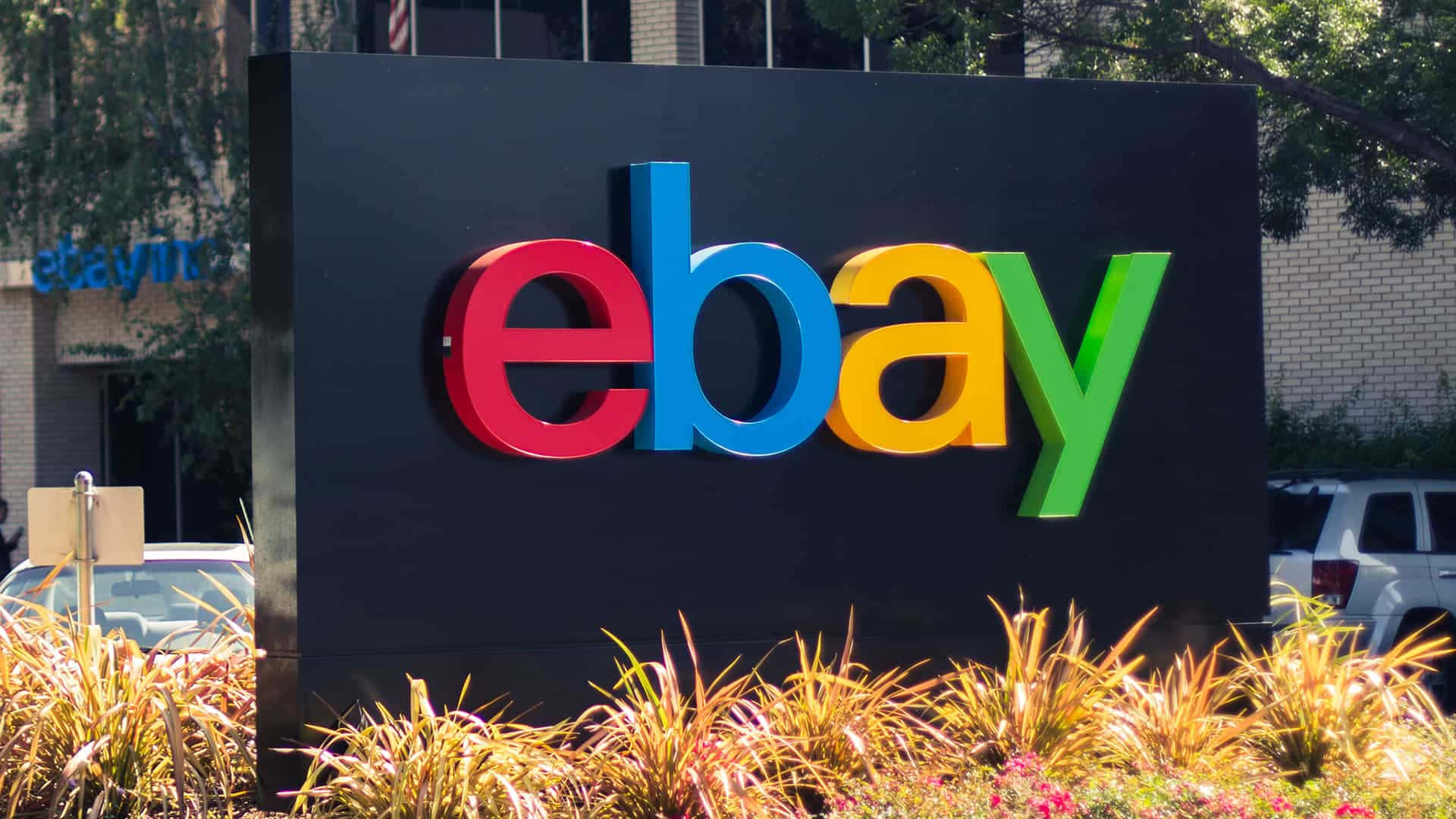 eBay UK Sign, green setting, sunlit ornamental grasses, Full HD Desktop Wallpaper