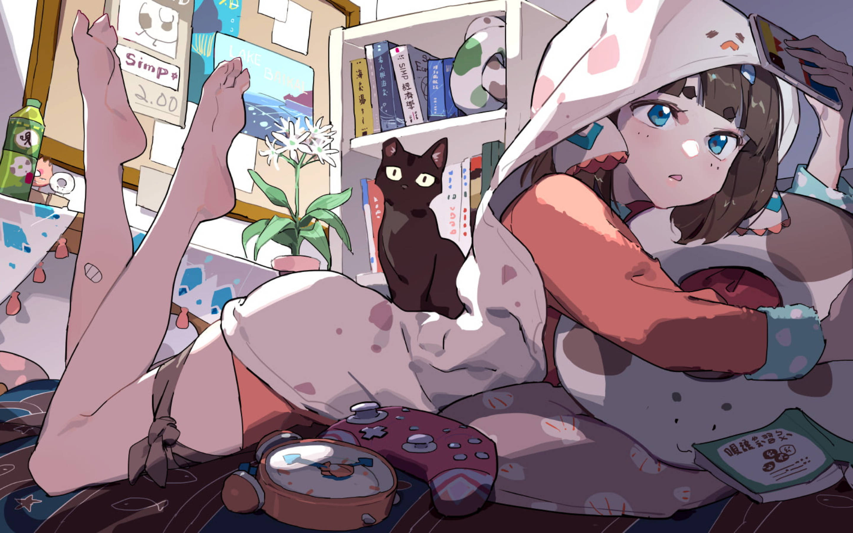 cat-themed hoodie, black cat, bed, 2K Desktop Wallpaper