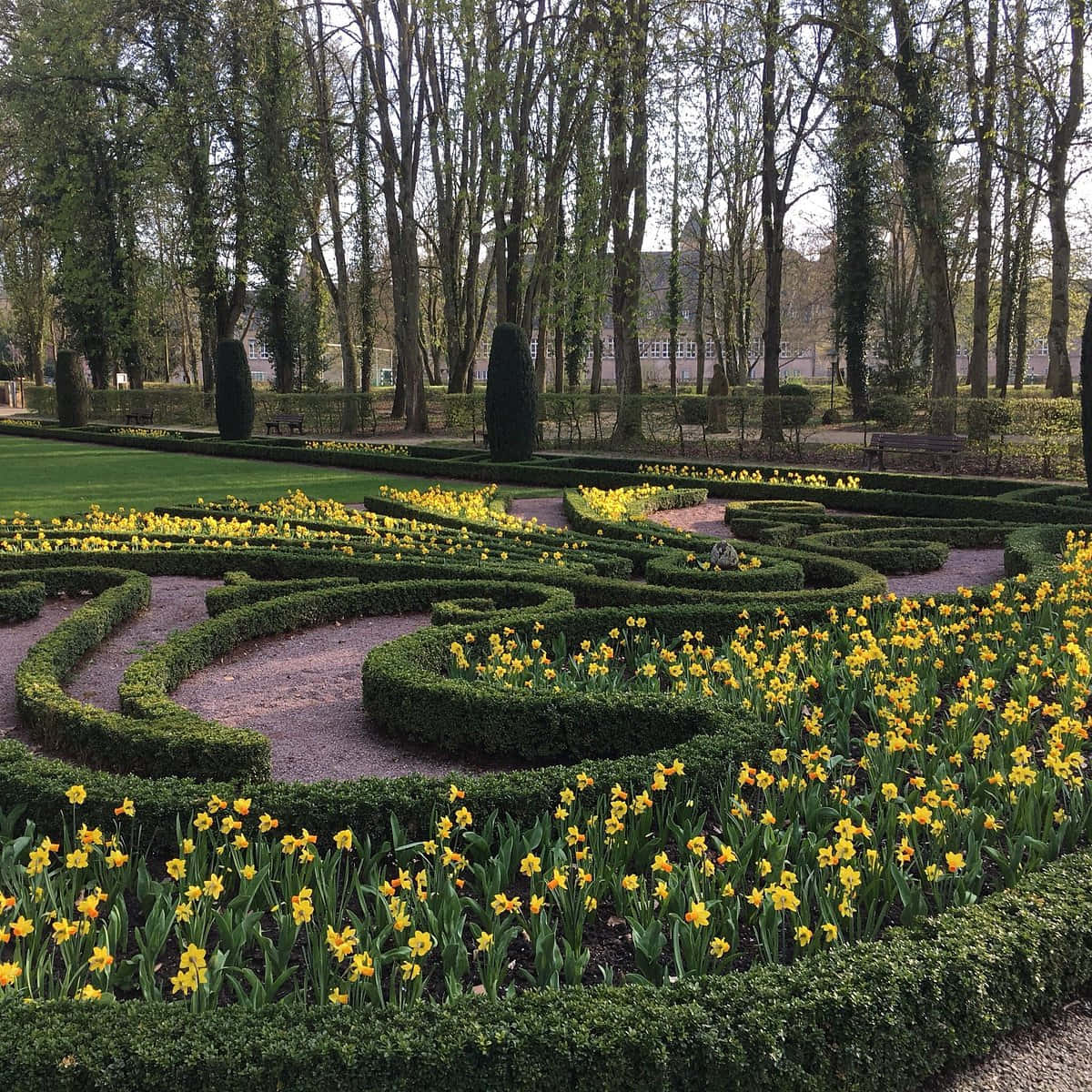 Echternach, garden maze, neatly trimmed hedges, SD Desktop Wallpaper