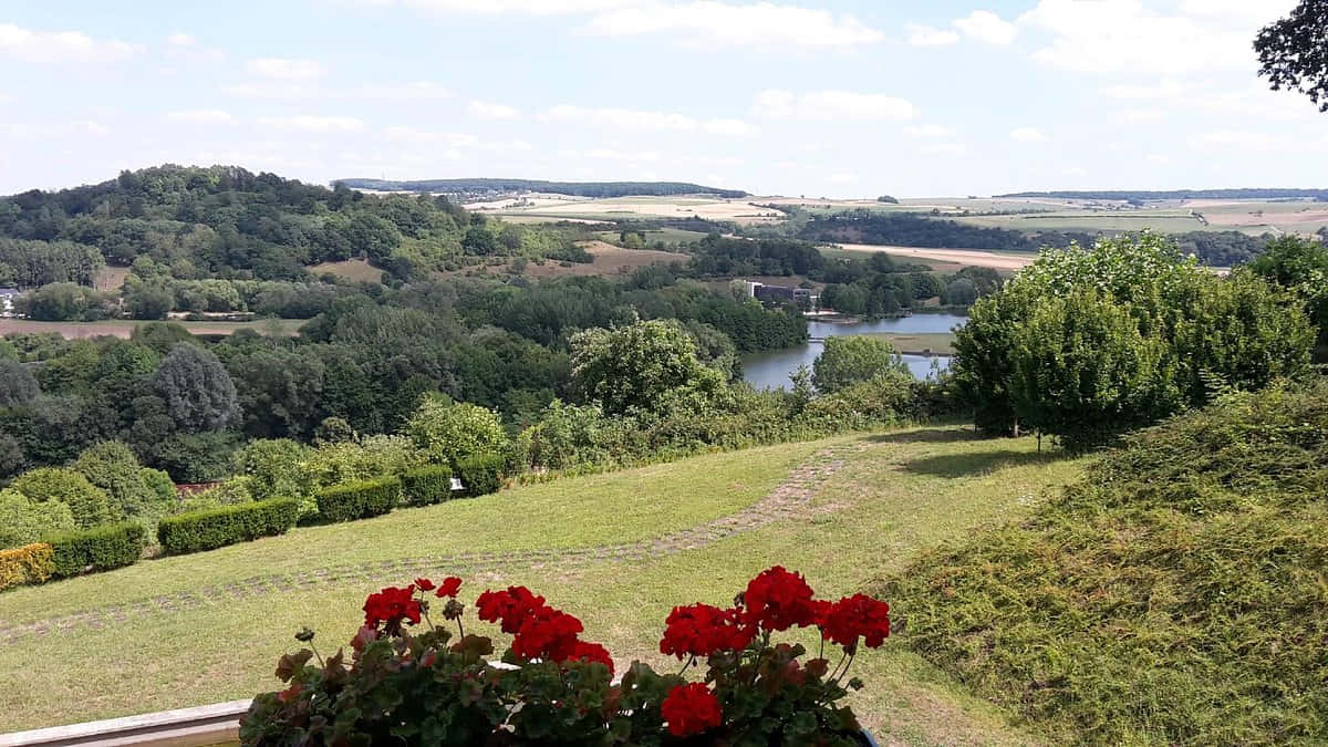 Echternach, landscape view, vibrant red geraniums, SD Desktop Wallpaper