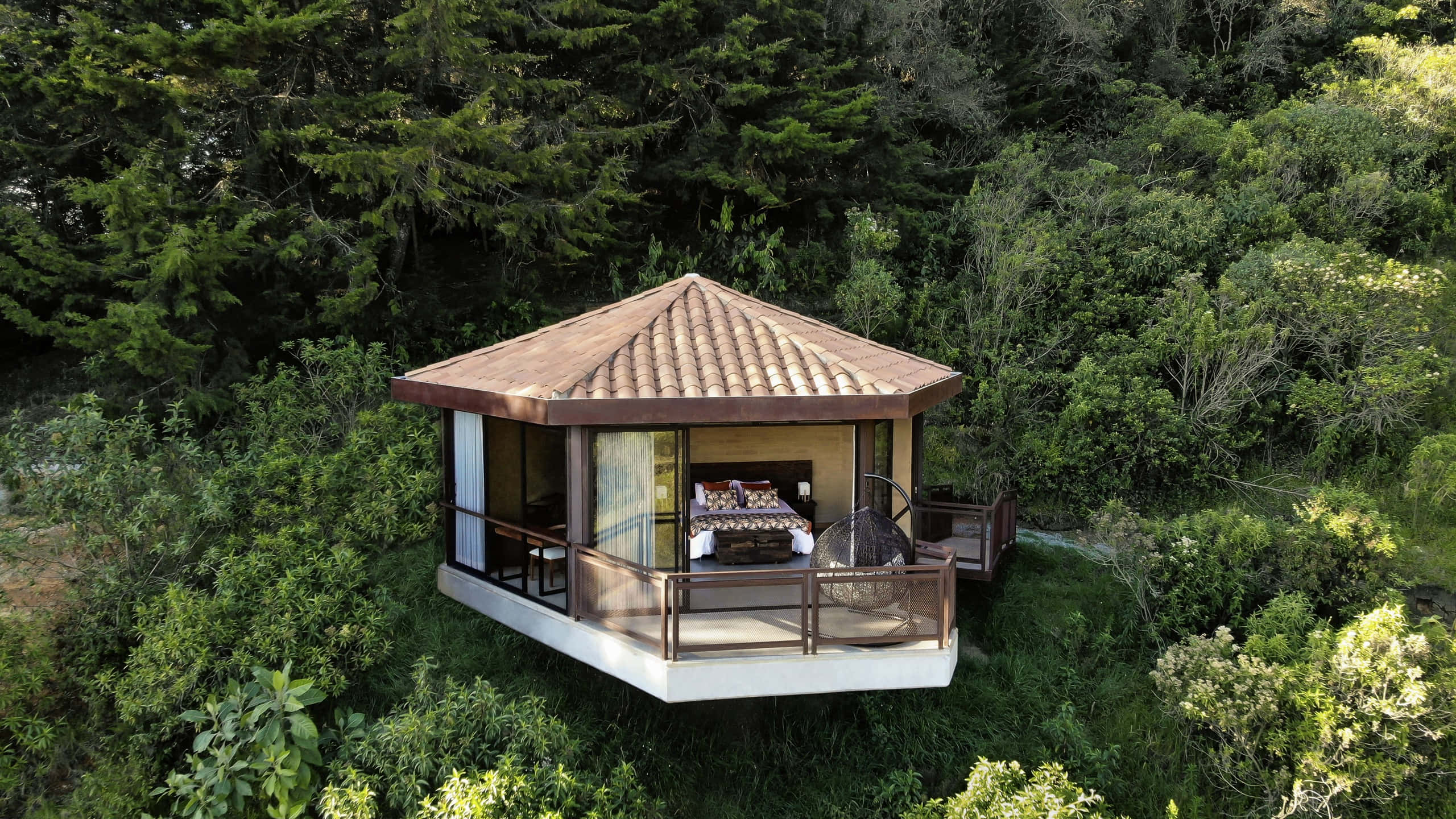 eco tourism, wooden treehouse villa, dense green forest, 2K Desktop Wallpaper
