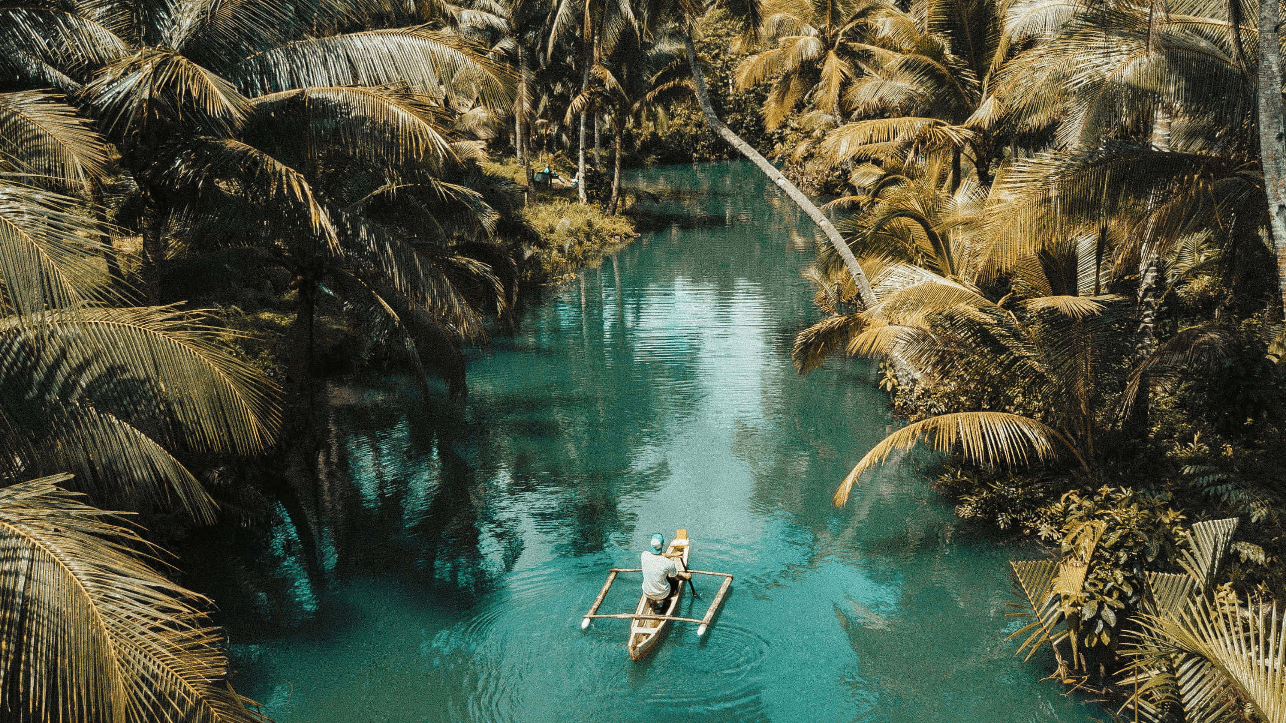 eco tourism, turquoise river, golden-brown palm trees, 2K Desktop Wallpaper