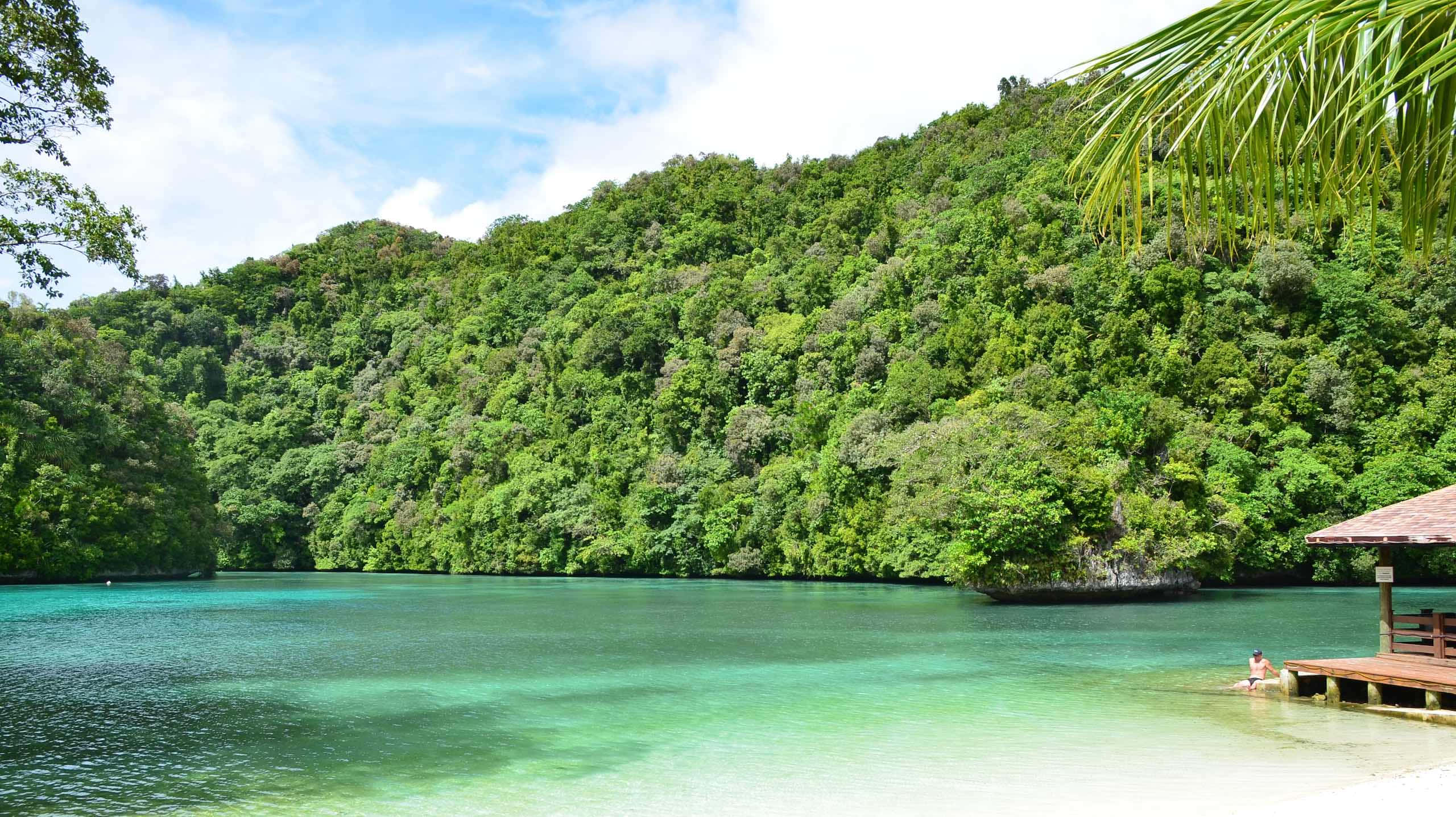 tropical lagoon, crystal clear turquoise water, lush green hills, 2K Desktop Wallpaper
