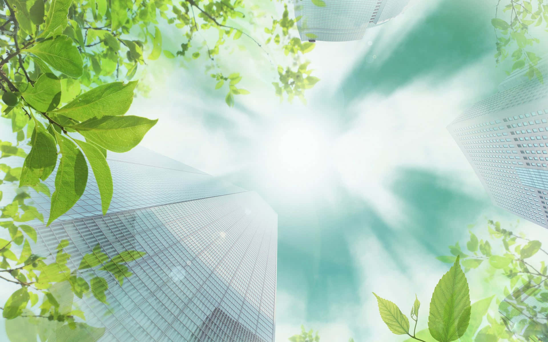 Eco-tourism, 1920 x 1200, vibrant green leaves, Full HD Desktop Wallpaper