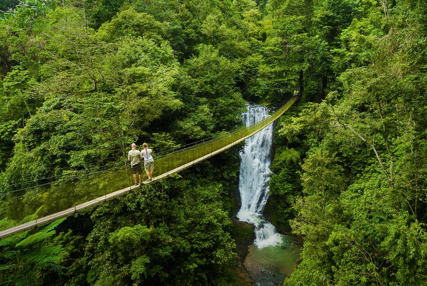 eco tourism, wooden suspension bridge, cascading waterfall, HD Desktop Wallpaper