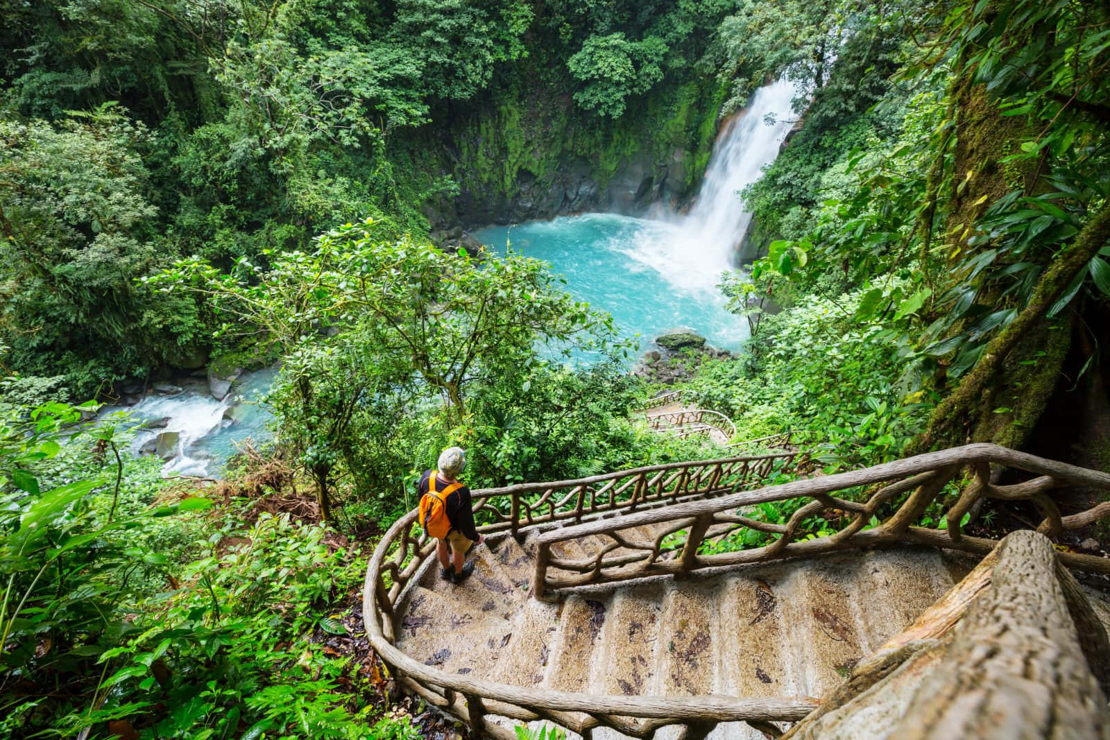 orange backpack, rustic wooden staircase, lush green jungle, HD Desktop Wallpaper