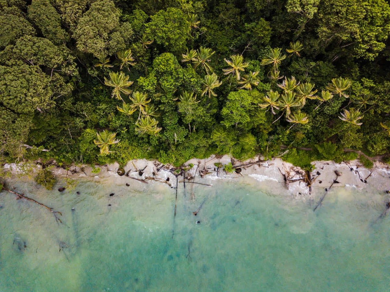 turquoise waters, white sand beach, dense green jungle, HD Desktop Wallpaper