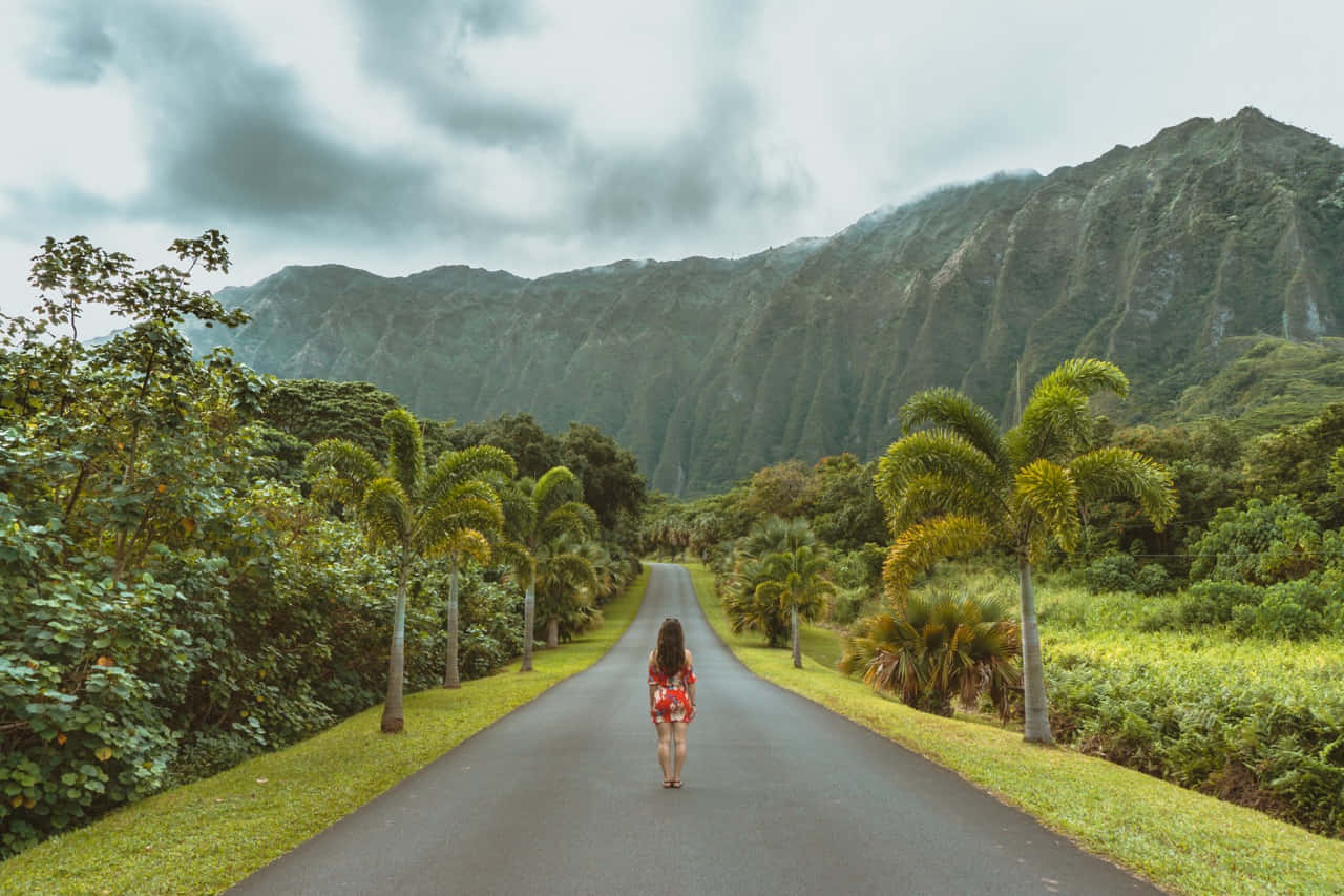 Eco-tourism, kayak, palm trees, HD Desktop Wallpaper