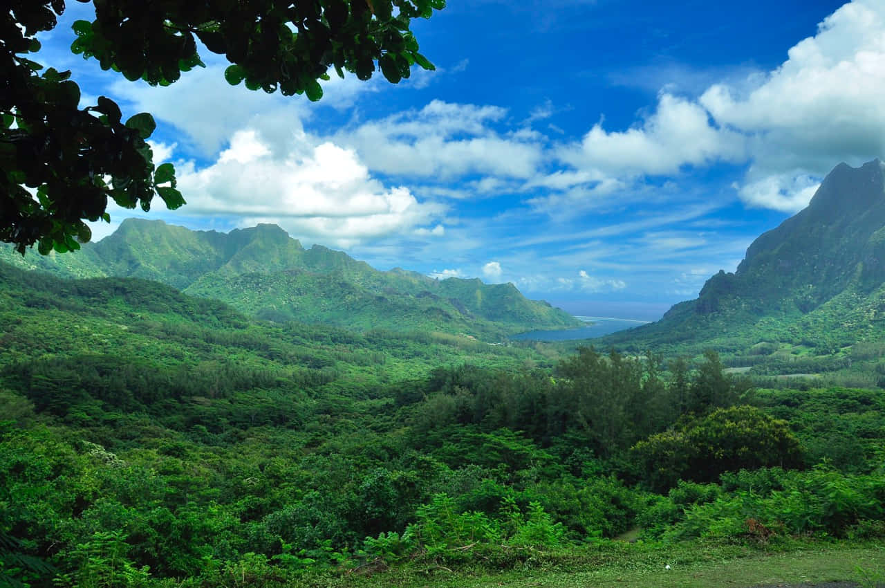 Eco-Tourism, lush green mountains, bright blue sky, HD Desktop Wallpaper